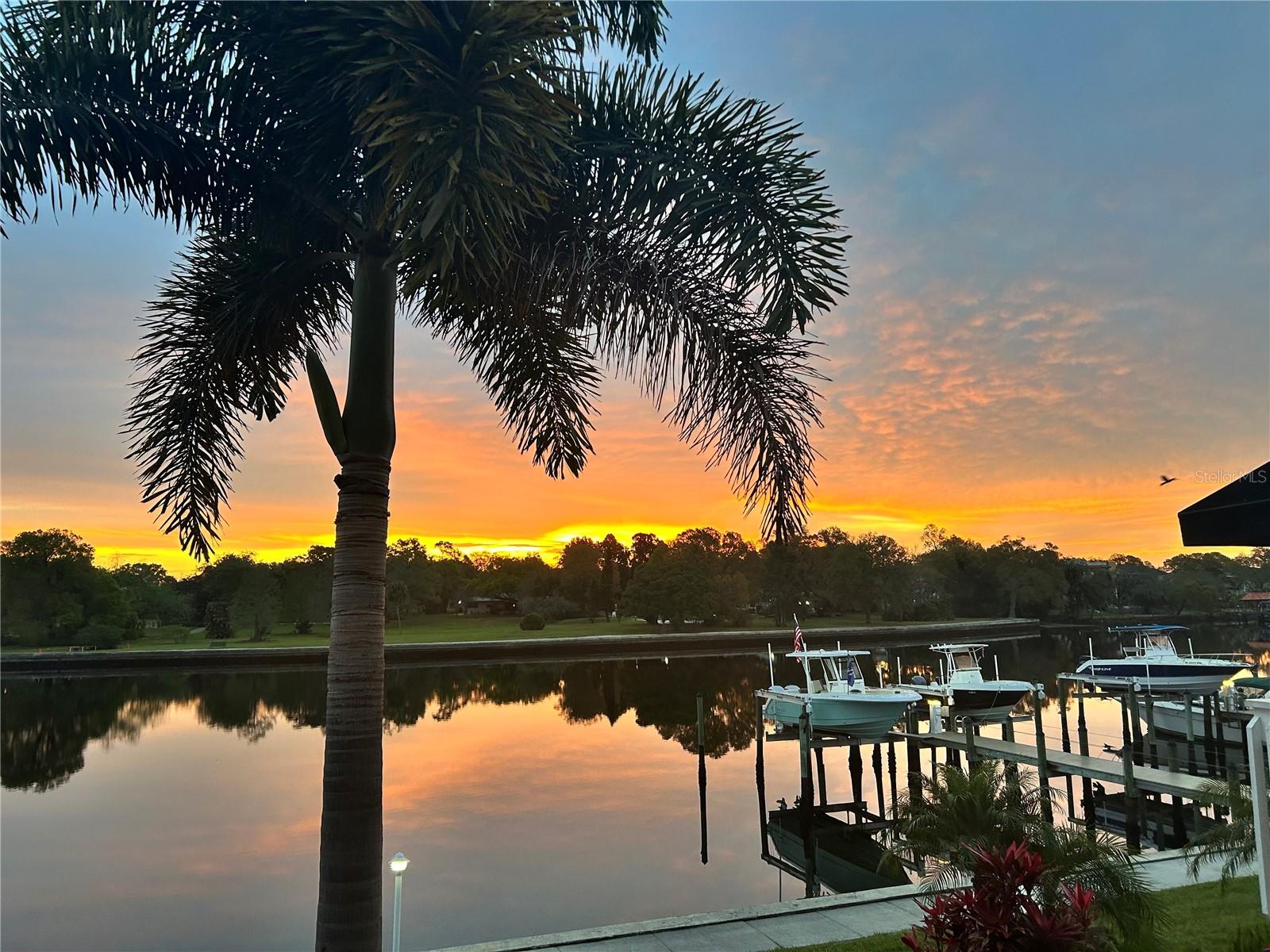 2424 W TAMPA BAY BLVD #D203, TAMPA, FL, 33607