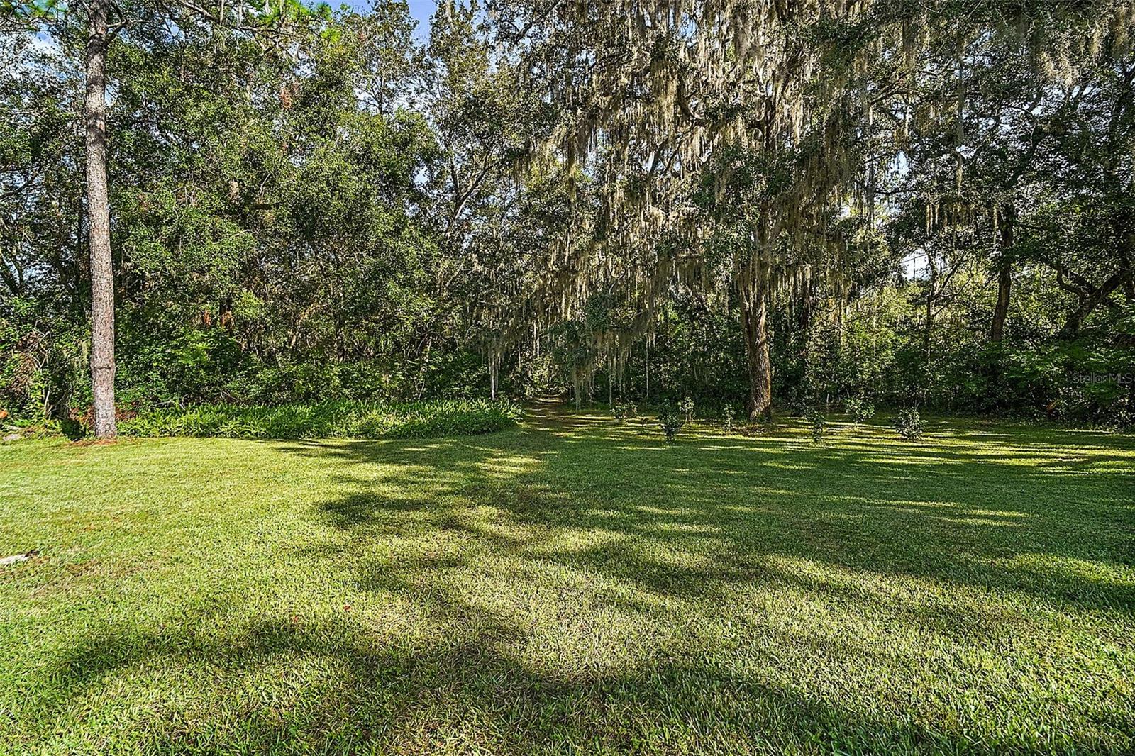 9345 SILVER LAKE DR, LEESBURG, FL, 34788