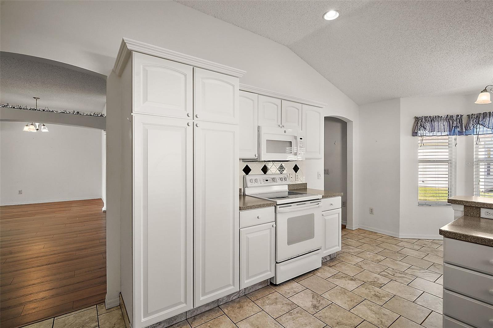 1711 AUGUSTINE DR, THE VILLAGES, FL, 32159