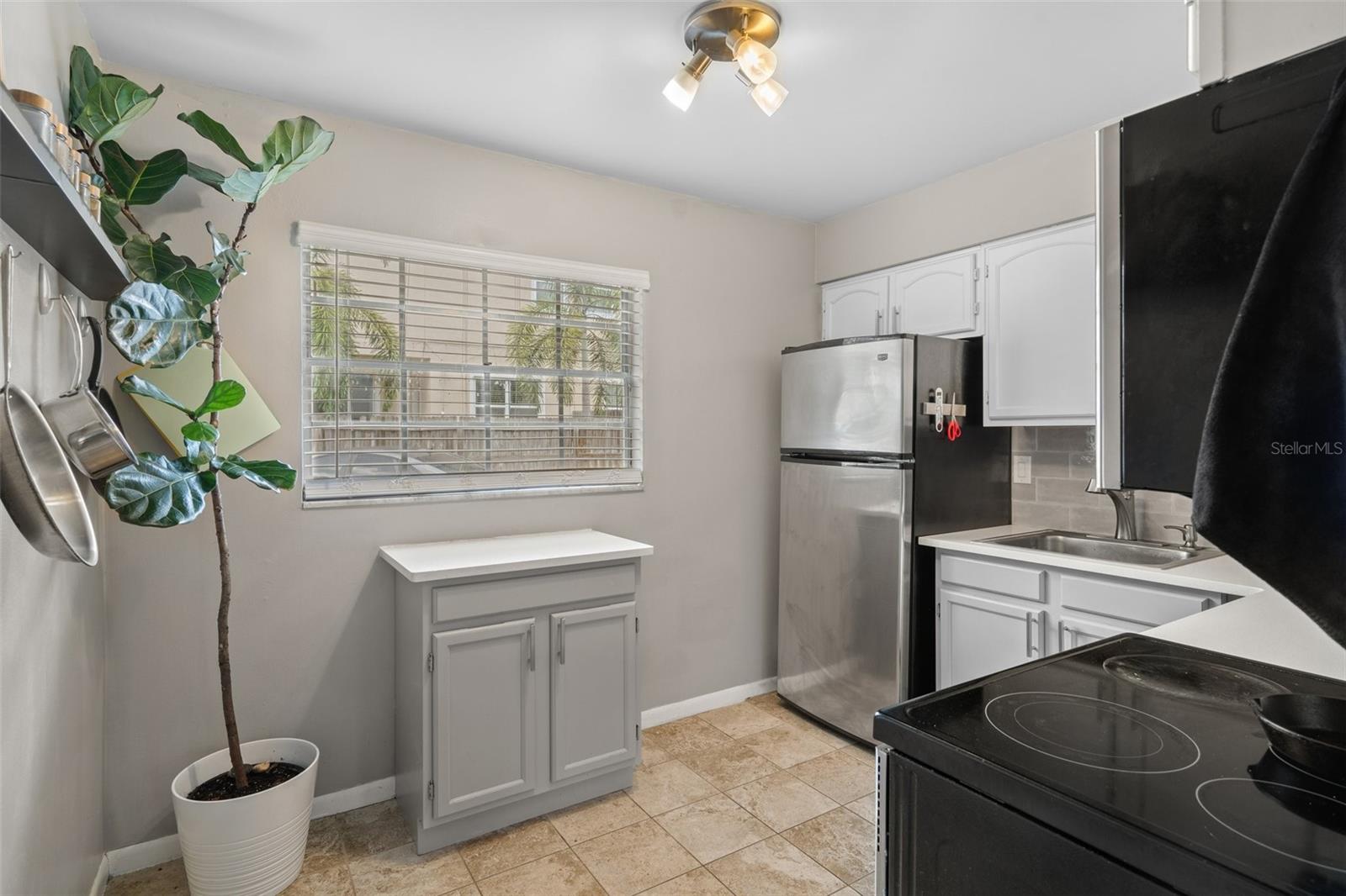 2207 S CAROLINA AVE #12, TAMPA, FL, 33629