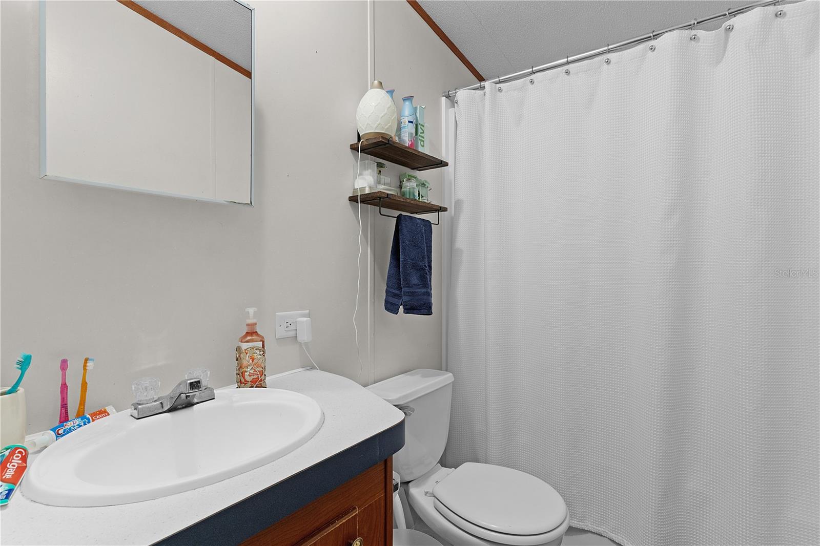 806 SUMMIT ST, LADY LAKE, FL, 32159