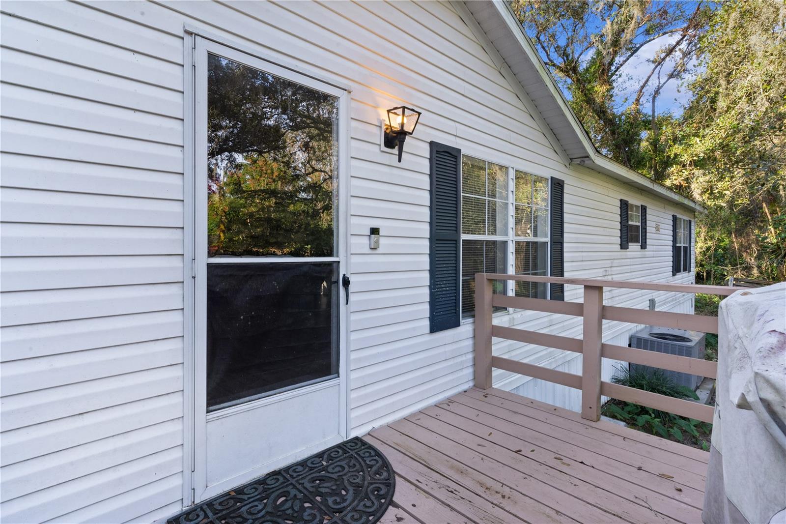 806 SUMMIT ST, LADY LAKE, FL, 32159