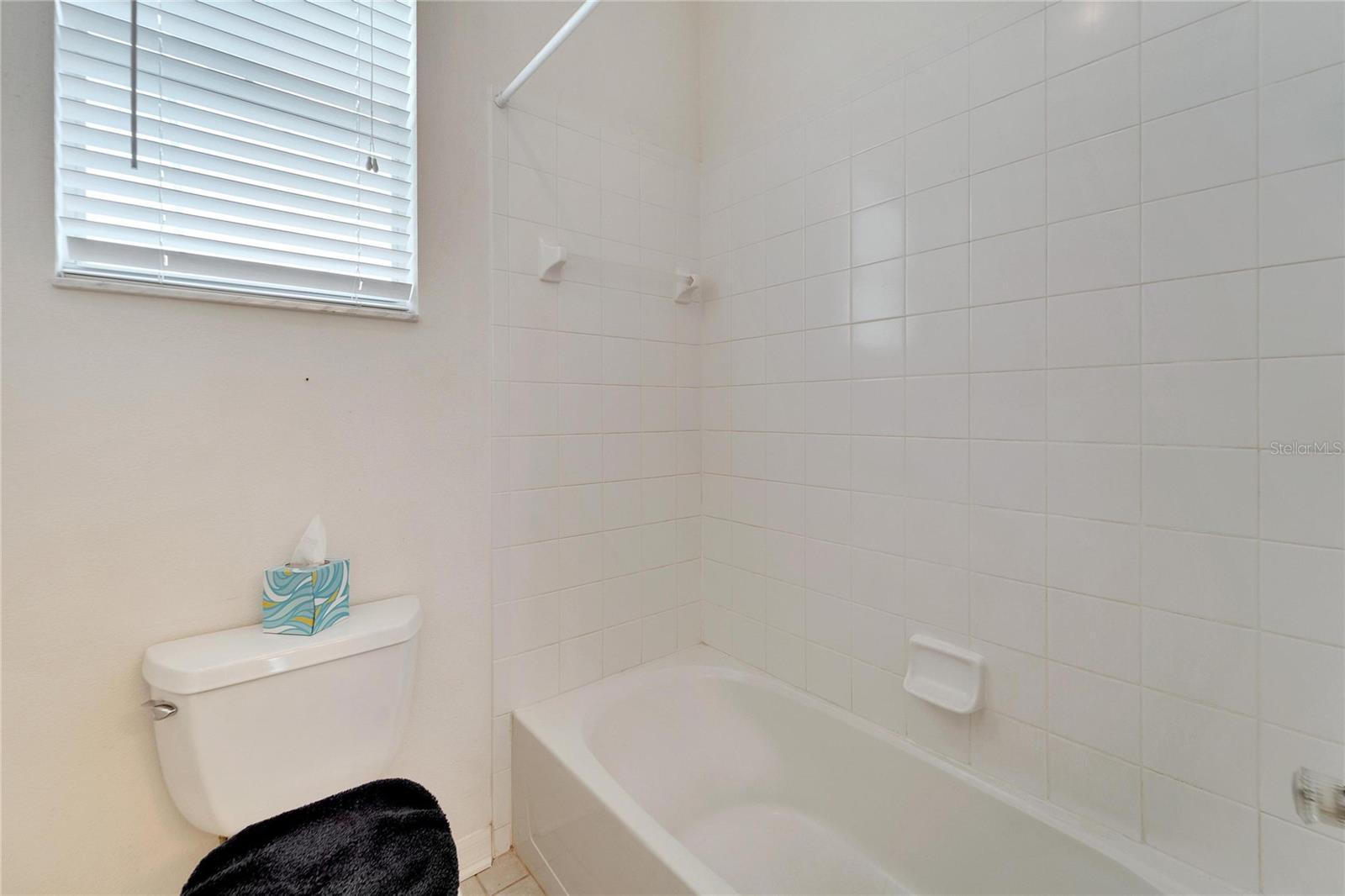 3101 WHITE PHEASANT PL, VALRICO, FL, 33596