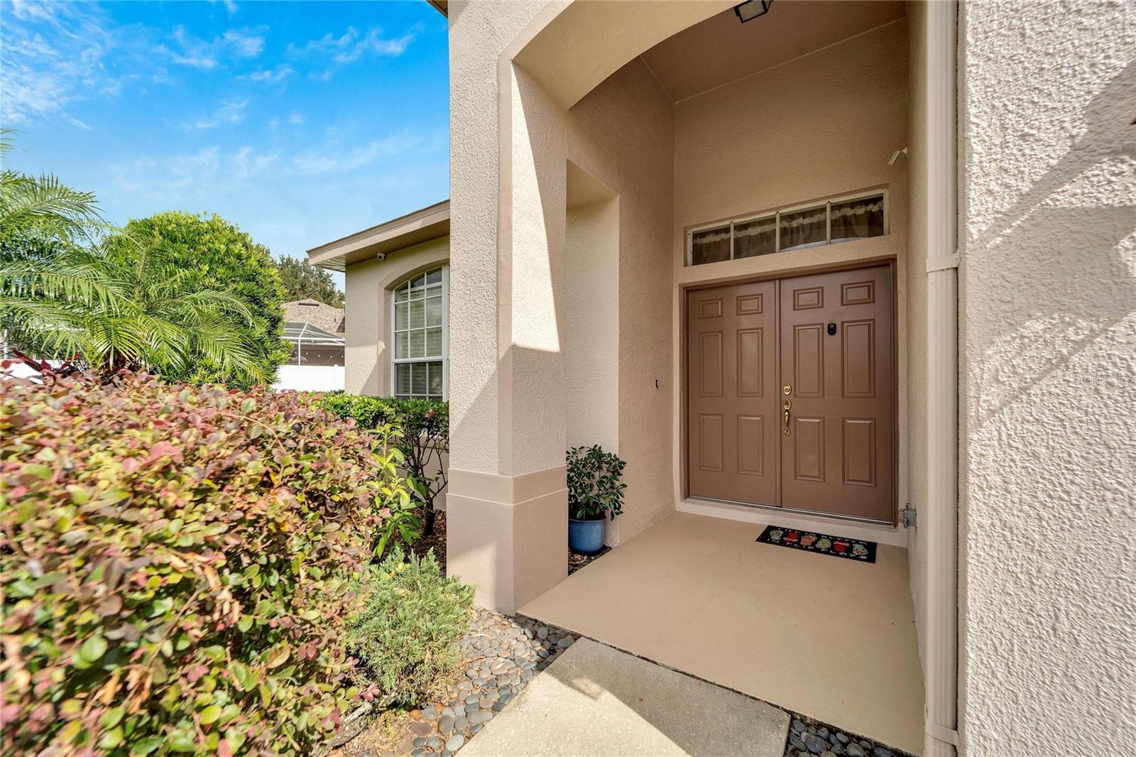 3101 WHITE PHEASANT PL, VALRICO, FL, 33596