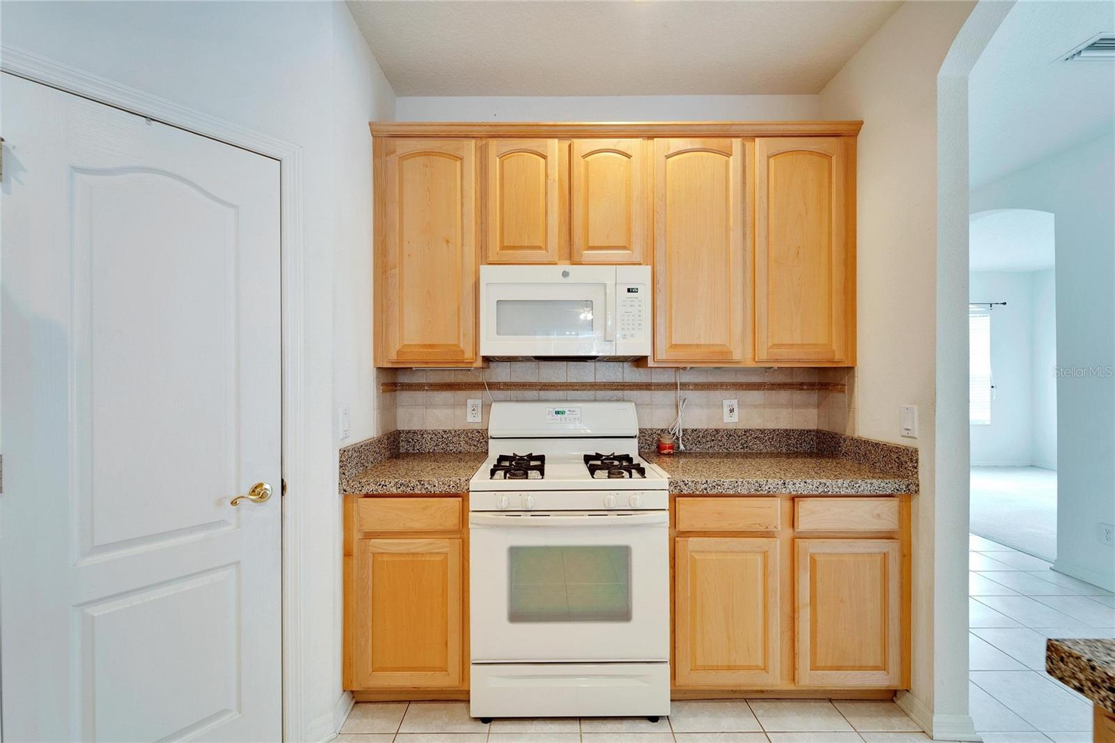 3101 WHITE PHEASANT PL, VALRICO, FL, 33596