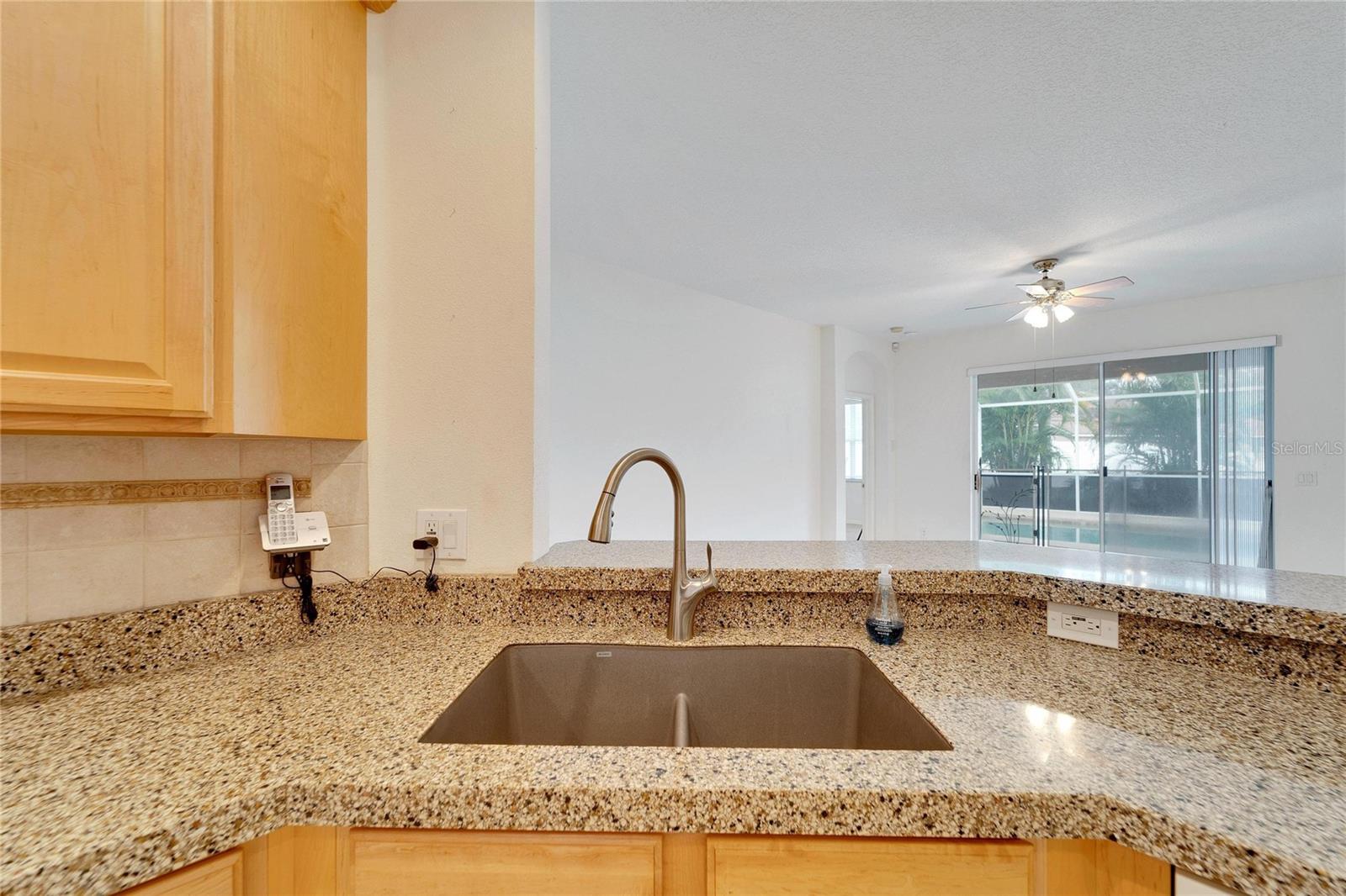 3101 WHITE PHEASANT PL, VALRICO, FL, 33596