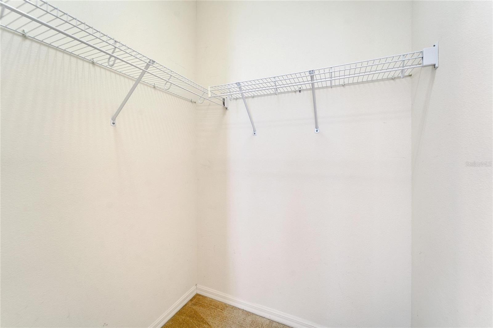 3101 WHITE PHEASANT PL, VALRICO, FL, 33596