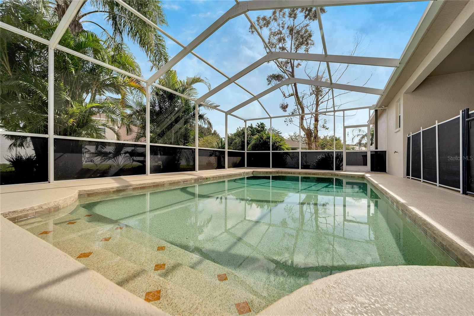 3101 WHITE PHEASANT PL, VALRICO, FL, 33596