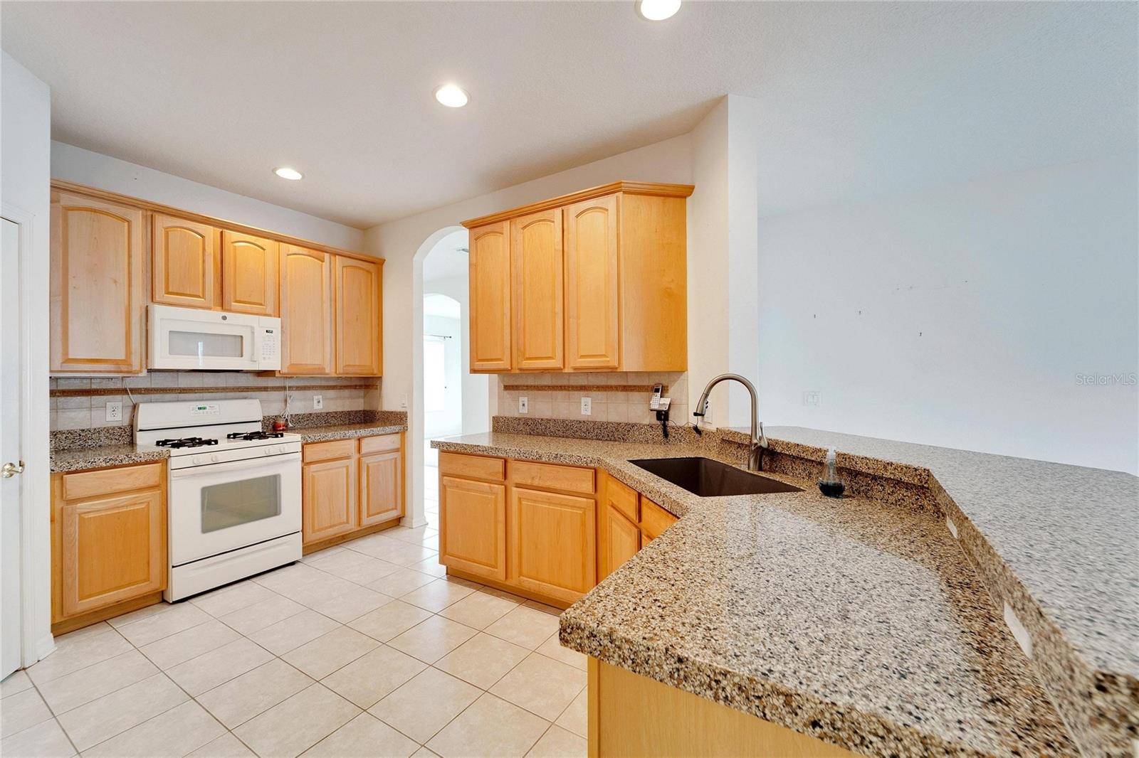 3101 WHITE PHEASANT PL, VALRICO, FL, 33596