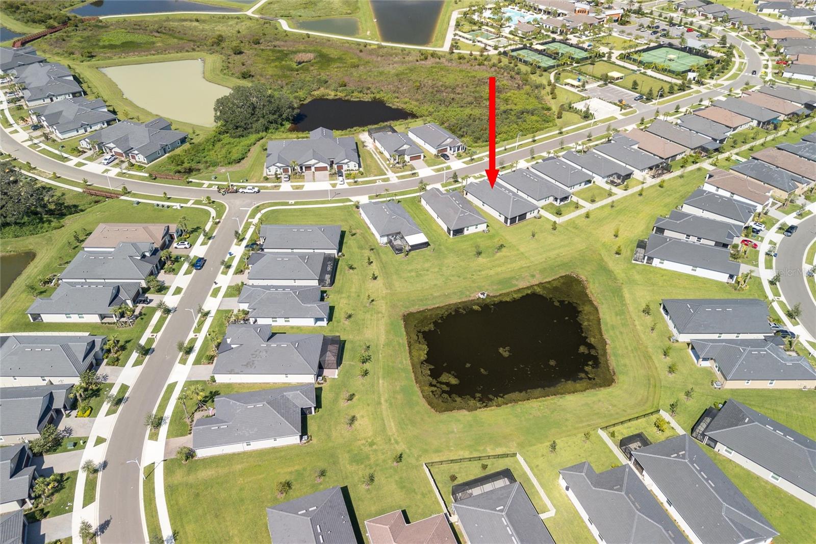 32015 CANNON RUSH DR, SAN ANTONIO, FL, 33576