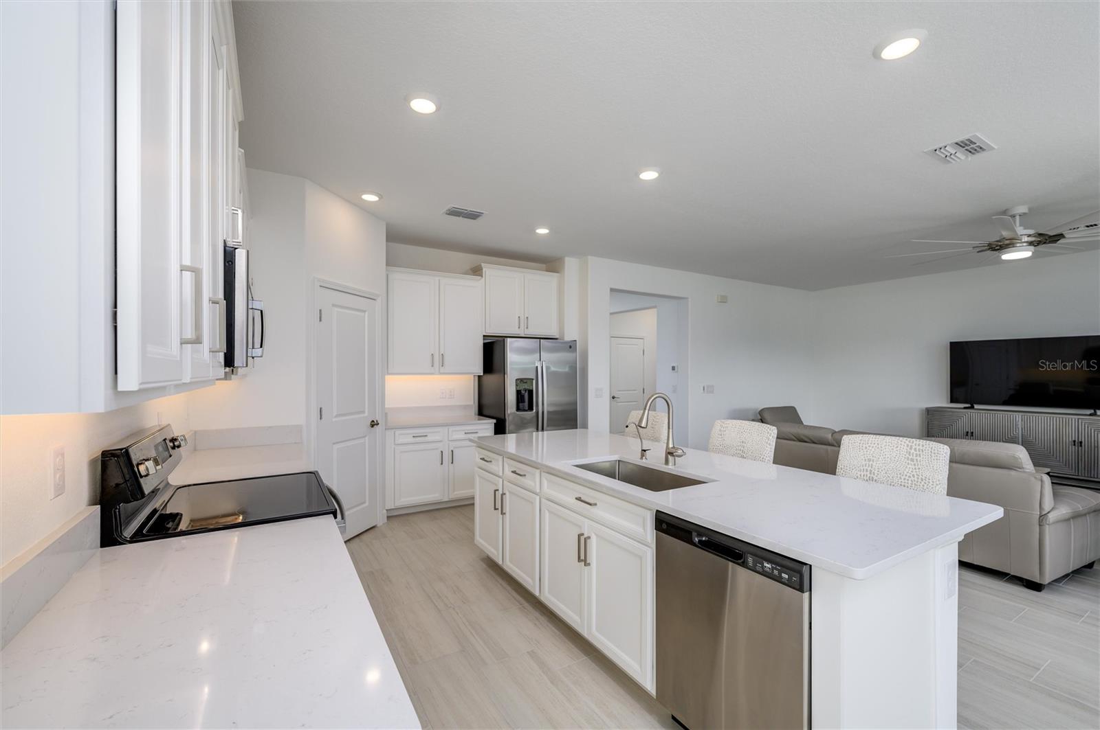 32015 CANNON RUSH DR, SAN ANTONIO, FL, 33576