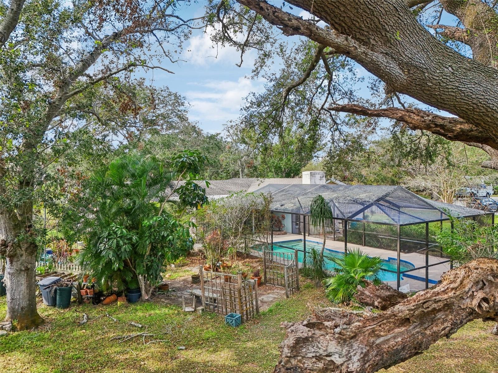 222 RIVIERE RD, PALM HARBOR, FL, 34683
