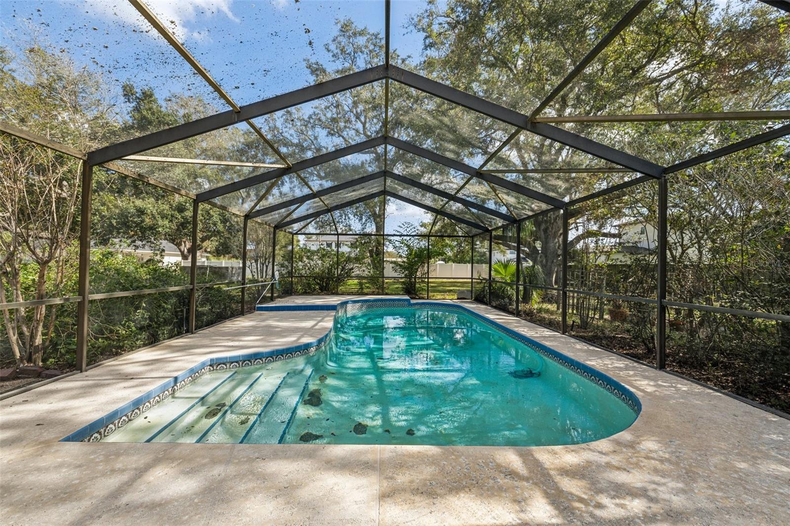 222 RIVIERE RD, PALM HARBOR, FL, 34683