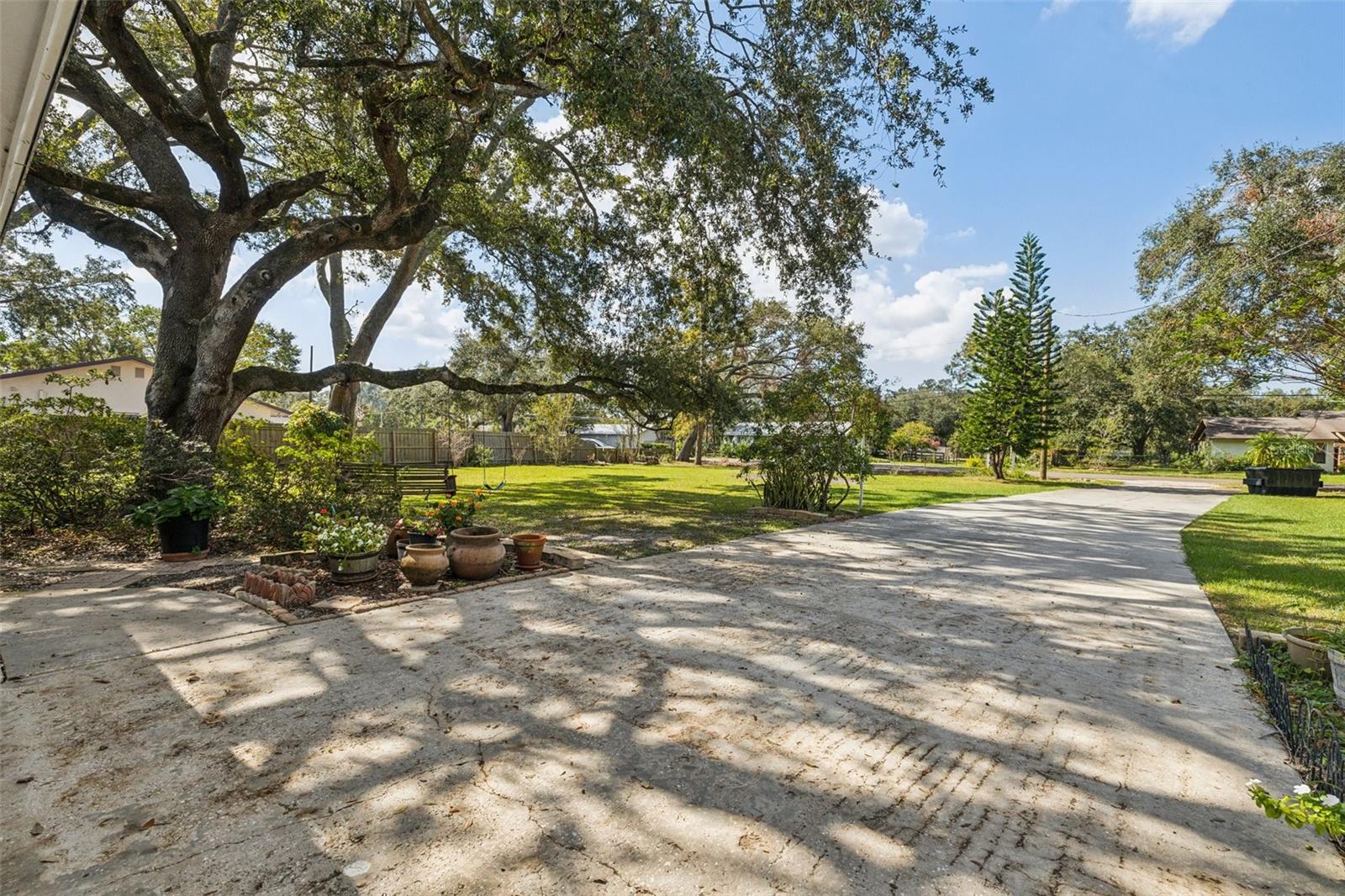222 RIVIERE RD, PALM HARBOR, FL, 34683