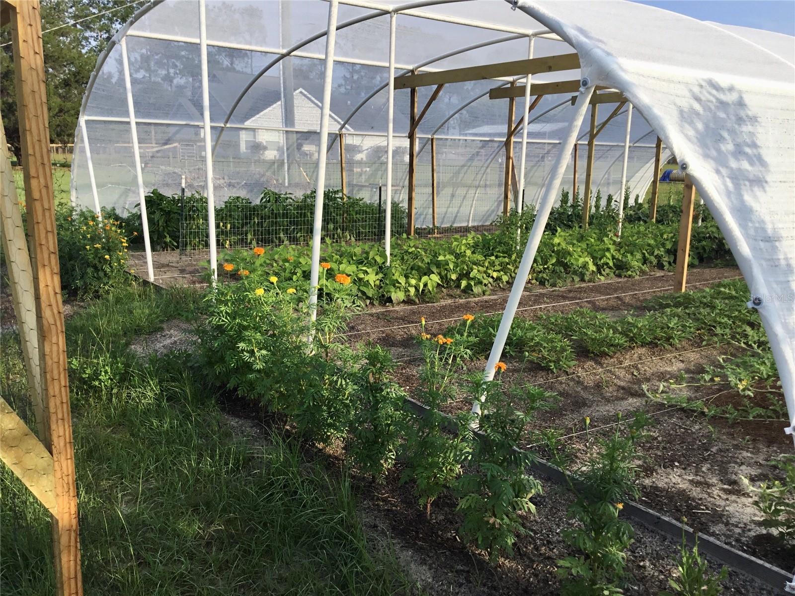 11951 SE 130TH CT, DUNNELLON, FL, 34431