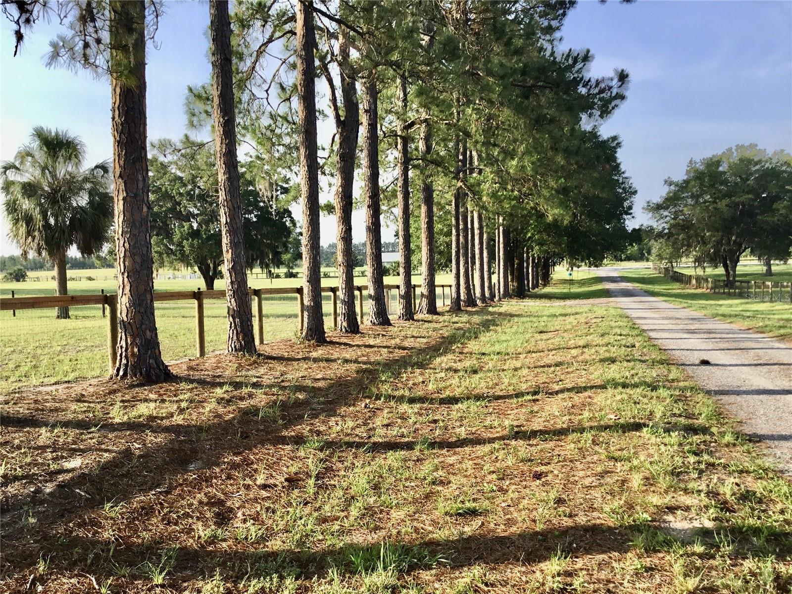 11951 SE 130TH CT, DUNNELLON, FL, 34431