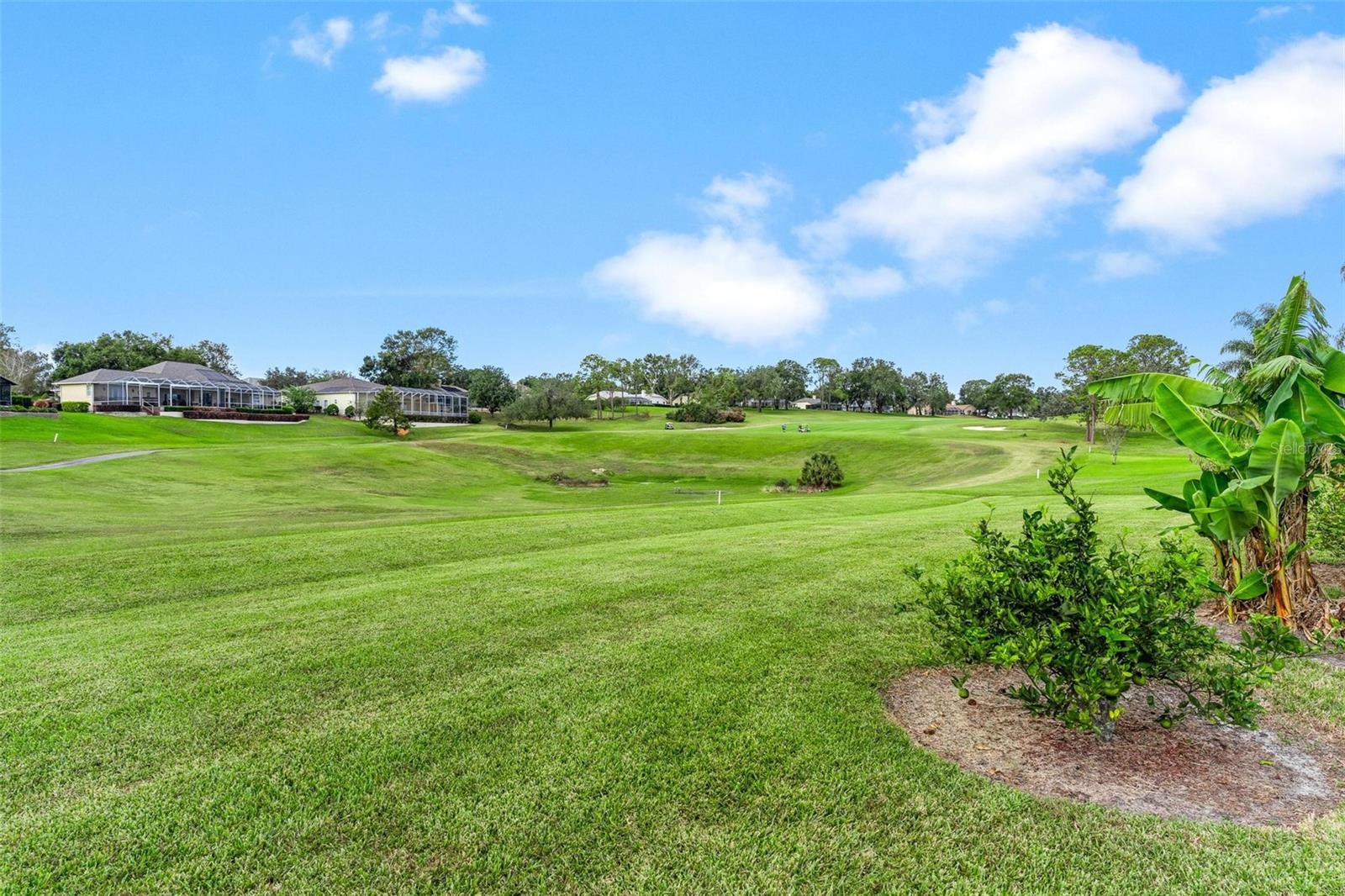 39509 HARBOR HILLS BLVD, LADY LAKE, FL, 32159