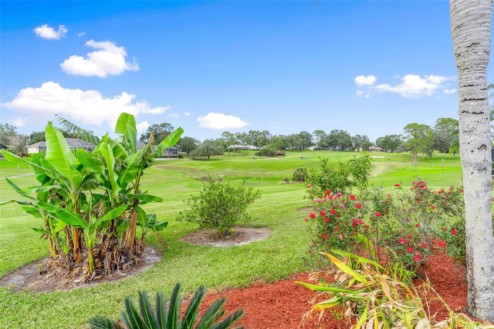 39509 HARBOR HILLS BLVD, LADY LAKE, FL, 32159