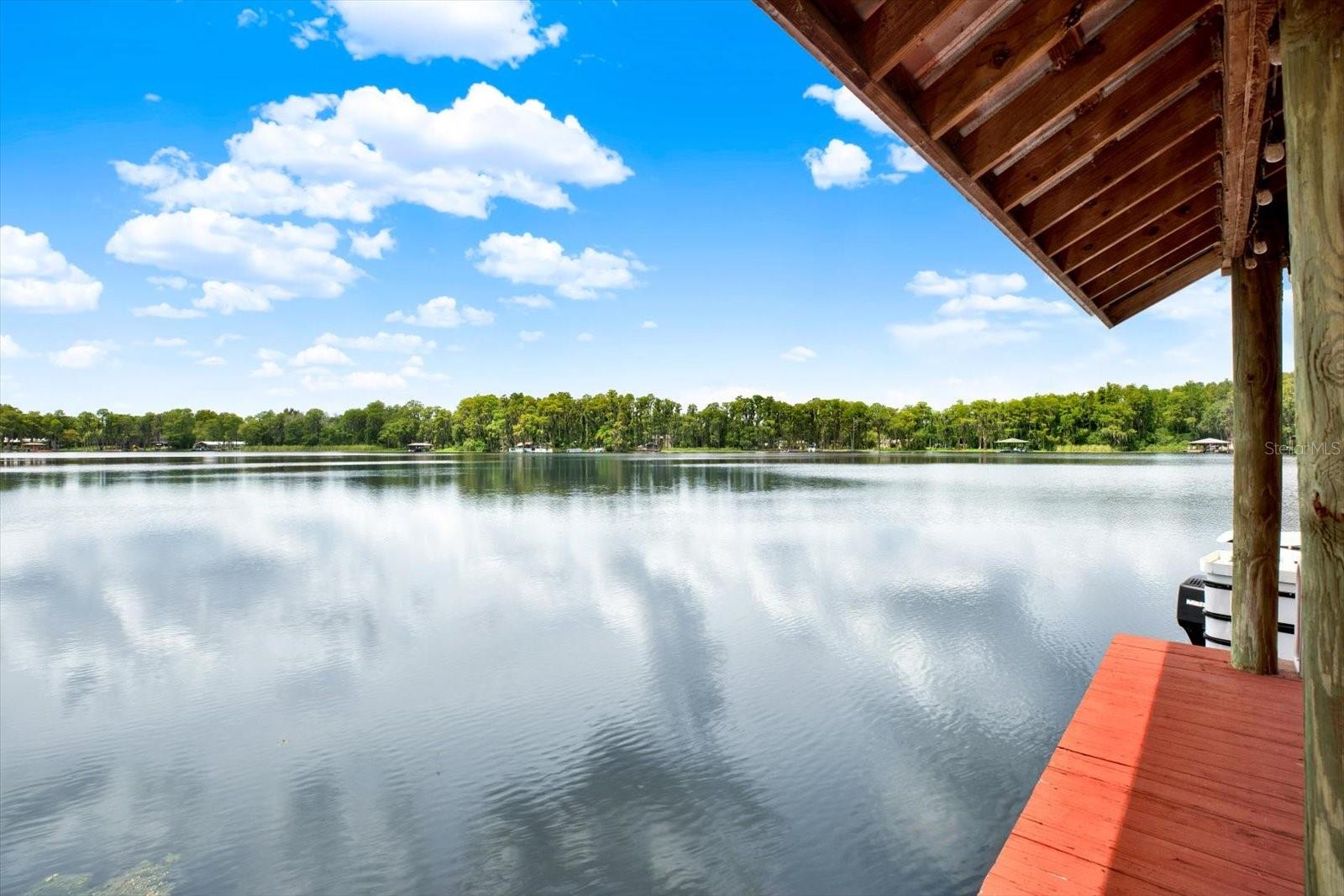 20333 MOSS BRANCH CT, LUTZ, FL, 33558