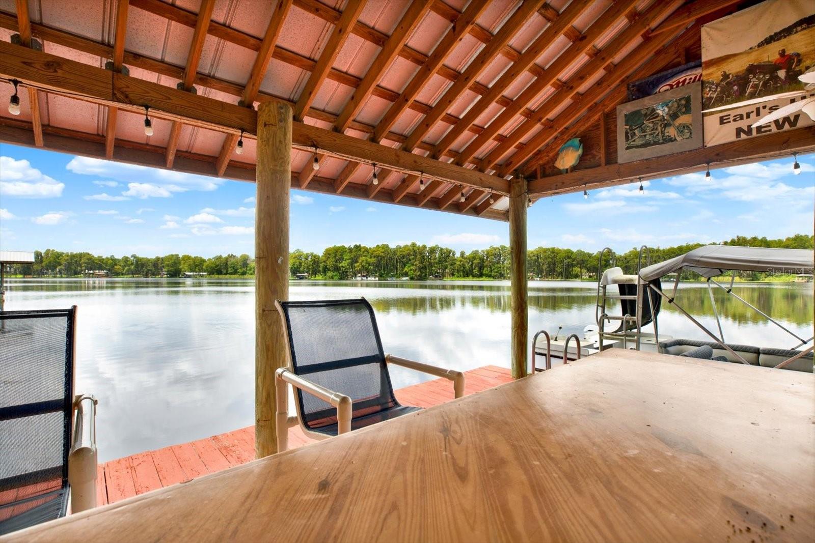 20333 MOSS BRANCH CT, LUTZ, FL, 33558