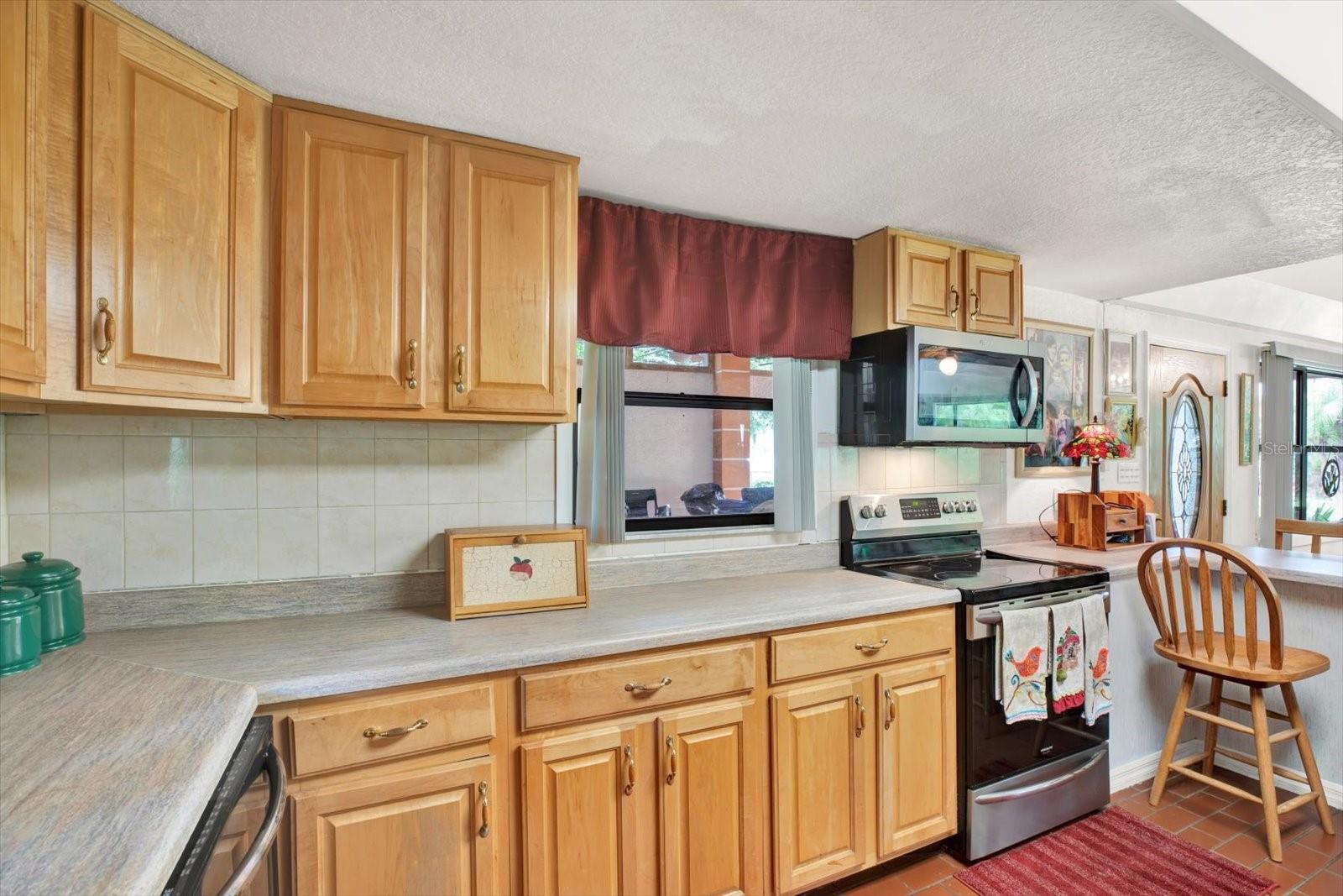 20333 MOSS BRANCH CT, LUTZ, FL, 33558