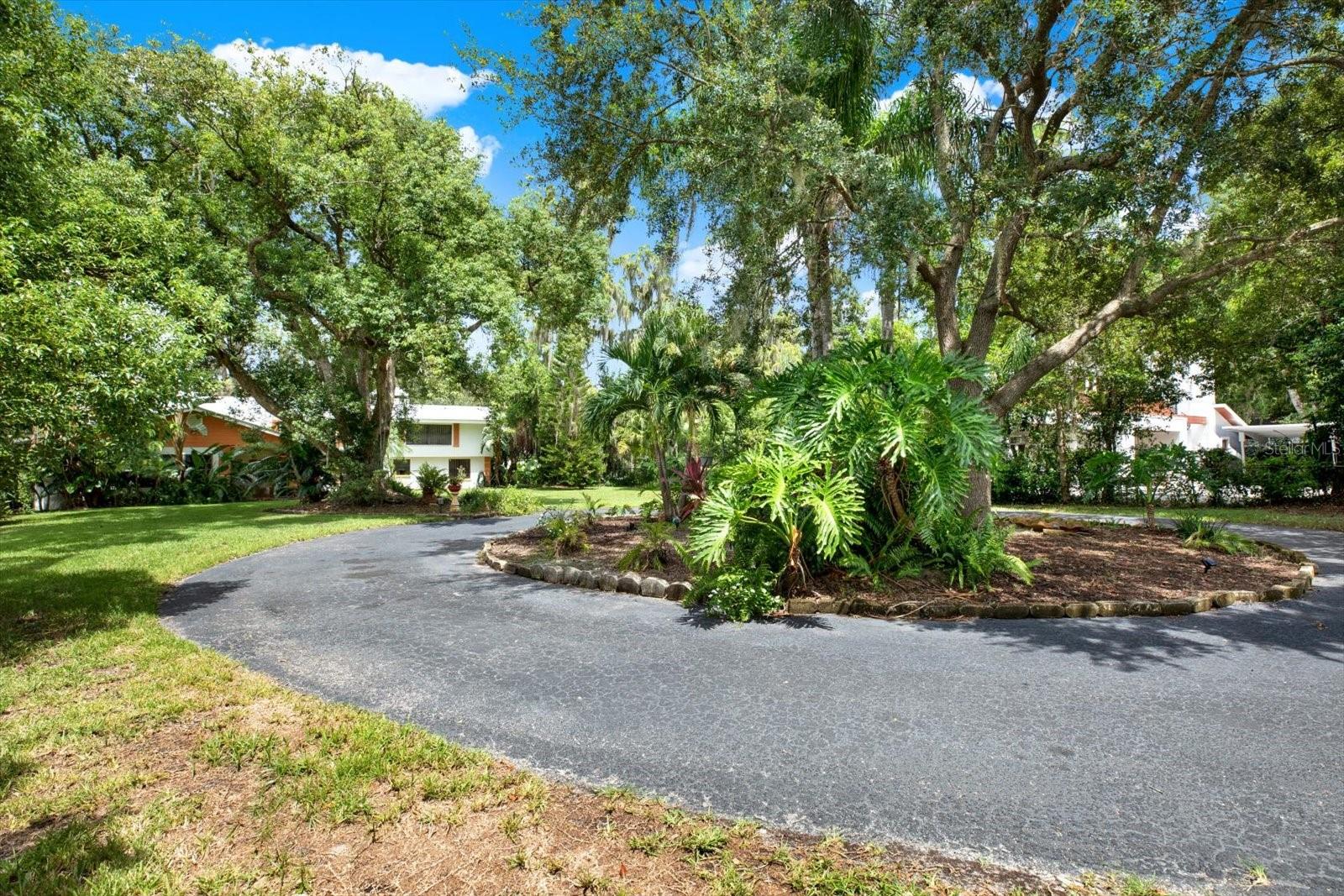 20333 MOSS BRANCH CT, LUTZ, FL, 33558