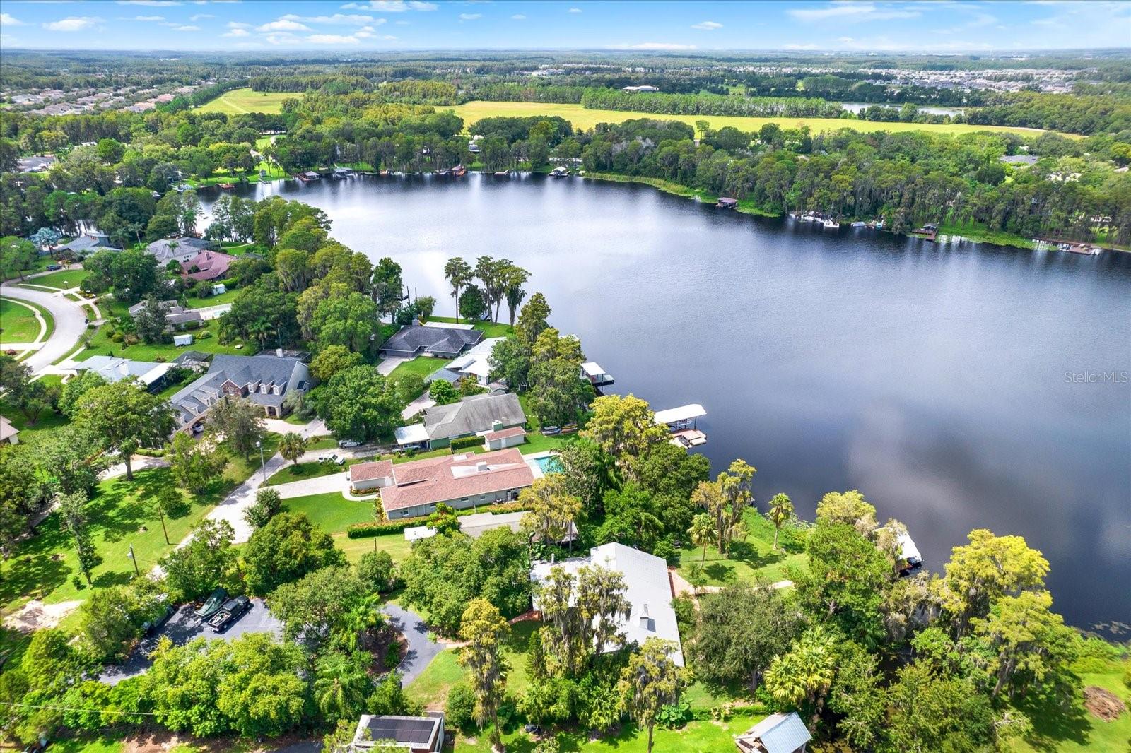 20333 MOSS BRANCH CT, LUTZ, FL, 33558