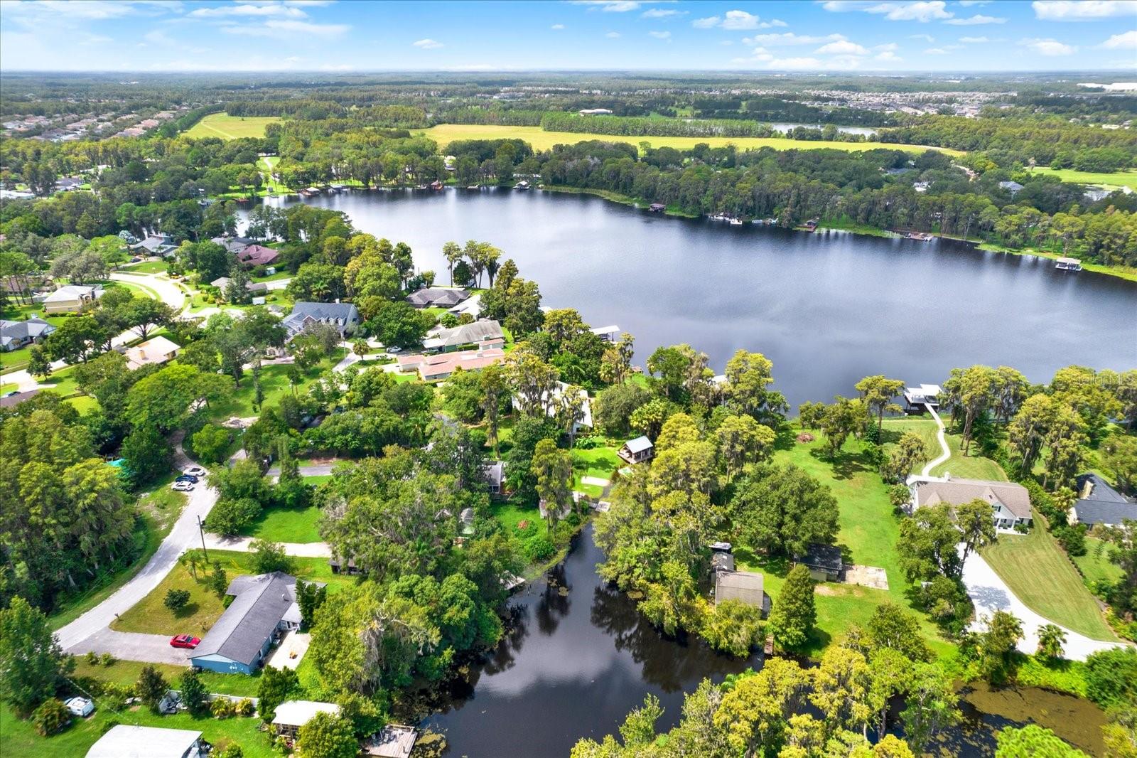 20333 MOSS BRANCH CT, LUTZ, FL, 33558