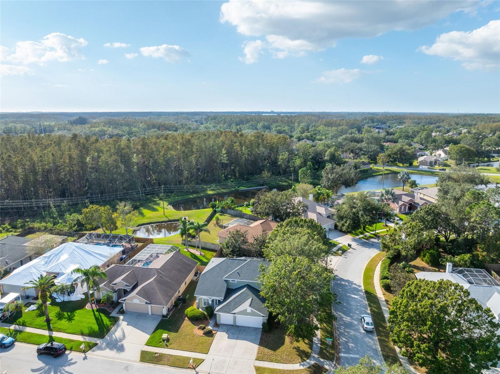 508 BRIDLE PATH WAY, TARPON SPRINGS, FL, 34688