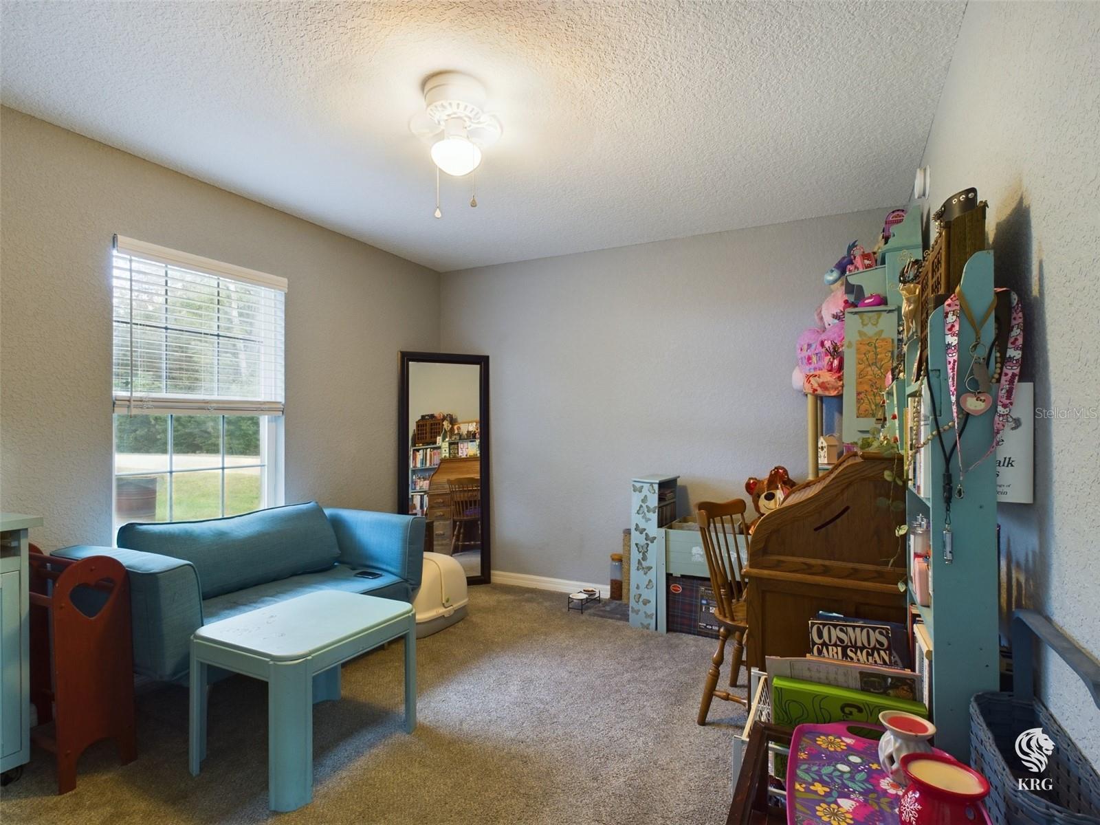4135 SE 139TH ST, SUMMERFIELD, FL, 34491