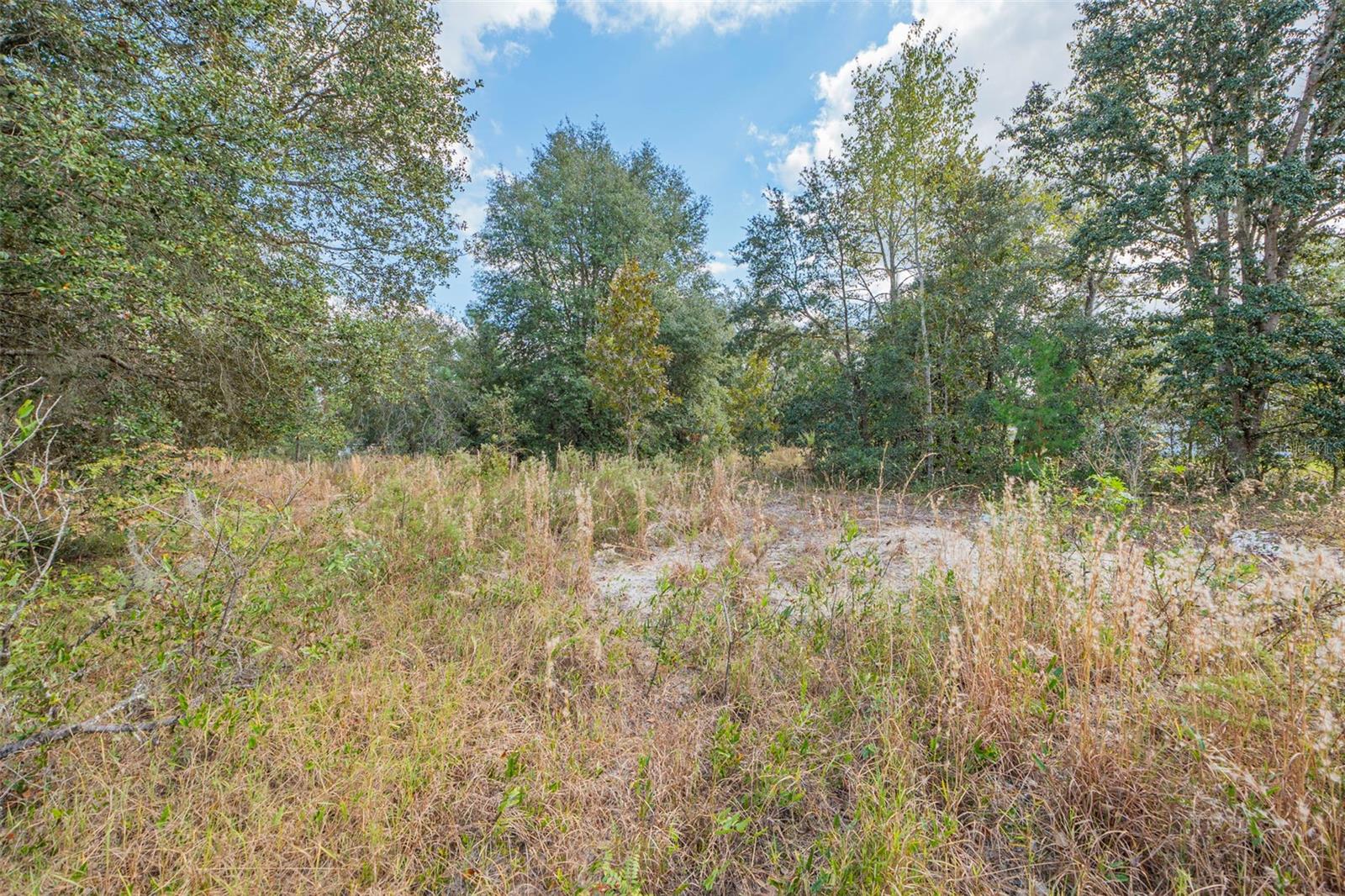 147TH LN, OCALA, FL, 34473