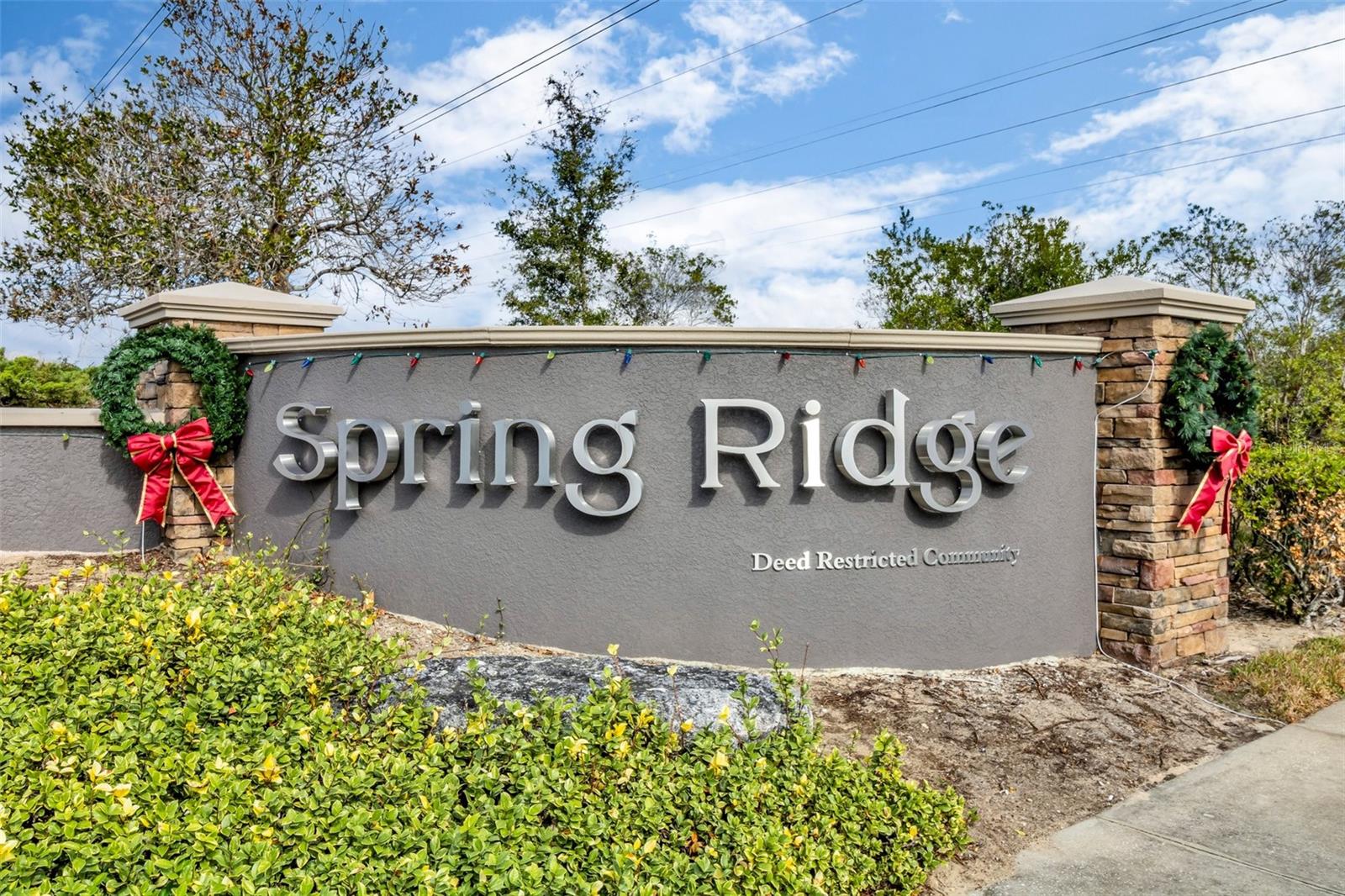 9612 SOUTHERN CHARM CIR, BROOKSVILLE, FL, 34613