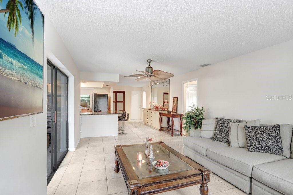 704 MEDINA WAY, SUN CITY CENTER, FL, 33573