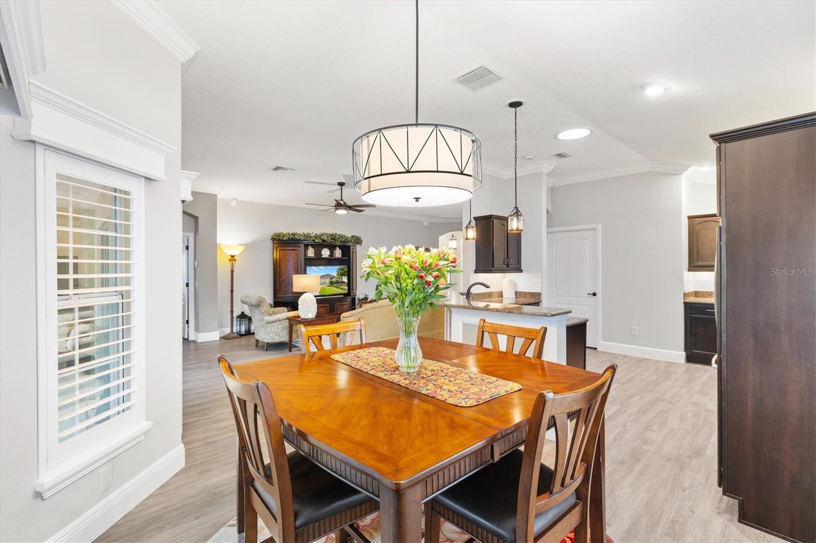 3428 WENTROP AVE, THE VILLAGES, FL, 32163