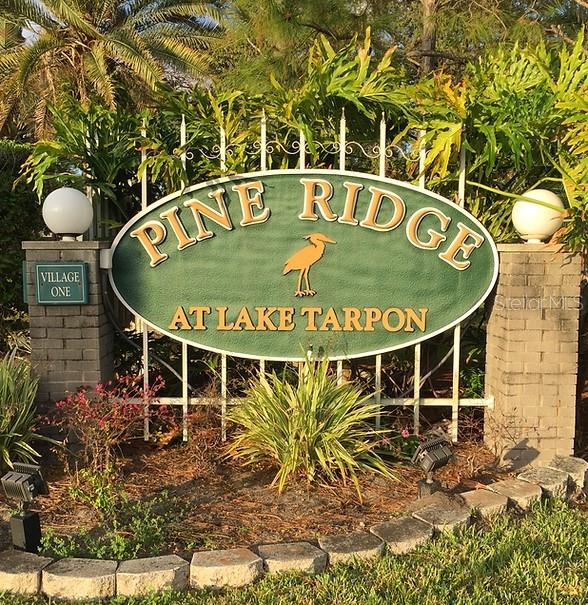 1127 PINE RIDGE CIR W #A2, TARPON SPRINGS, FL, 34688
