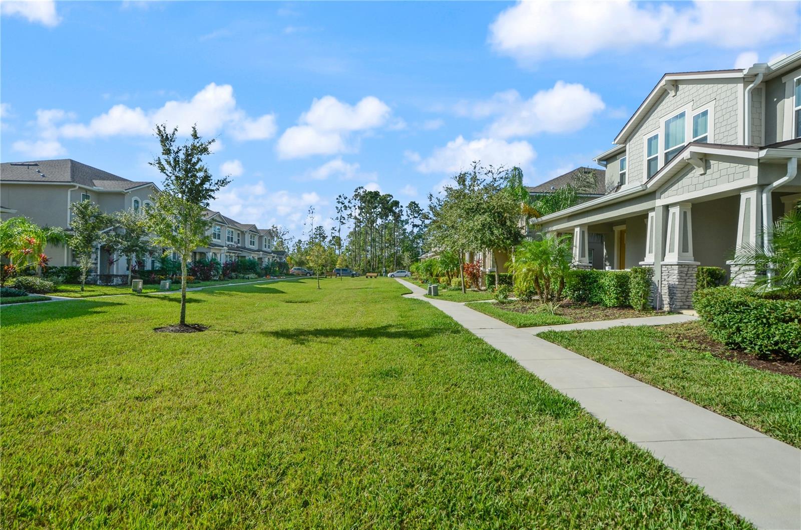 13330 ABUELA ALY, WINDERMERE, FL, 34786