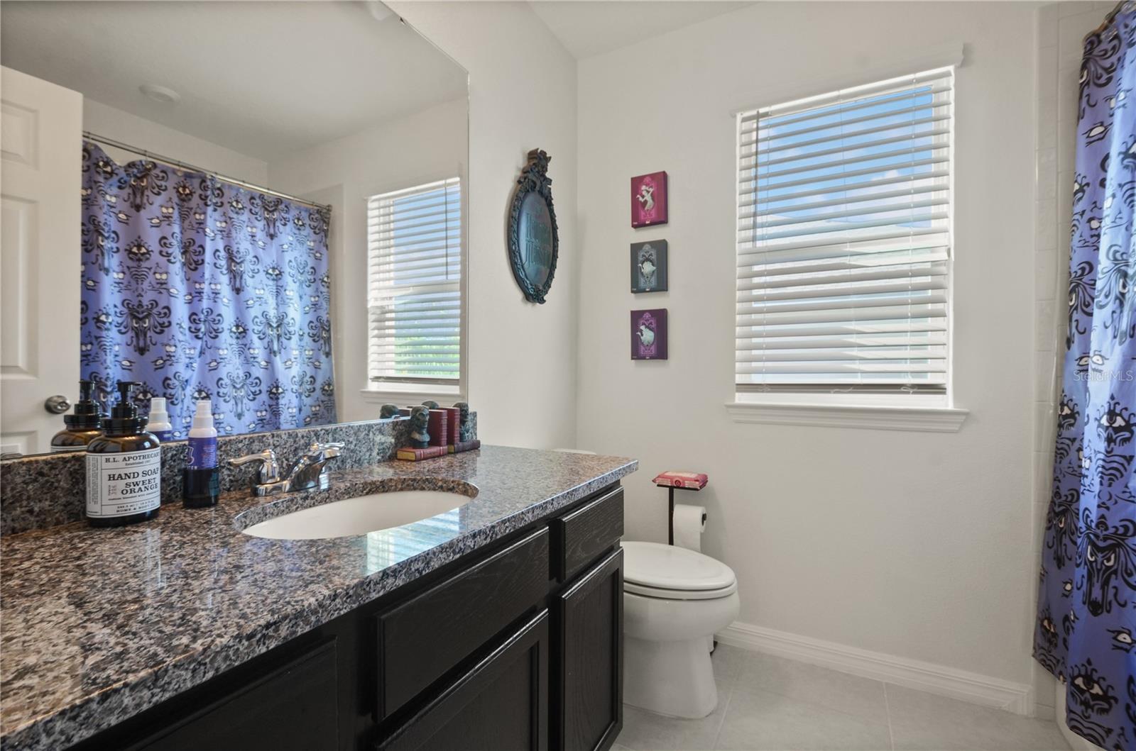 13330 ABUELA ALY, WINDERMERE, FL, 34786