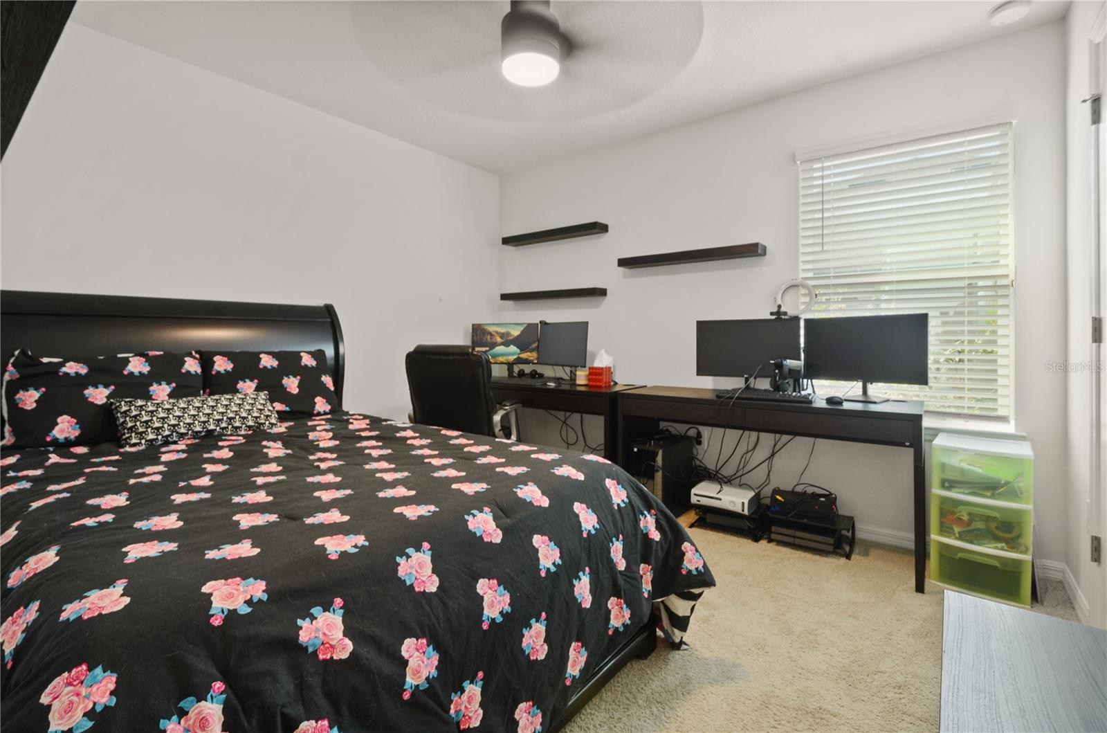 13330 ABUELA ALY, WINDERMERE, FL, 34786