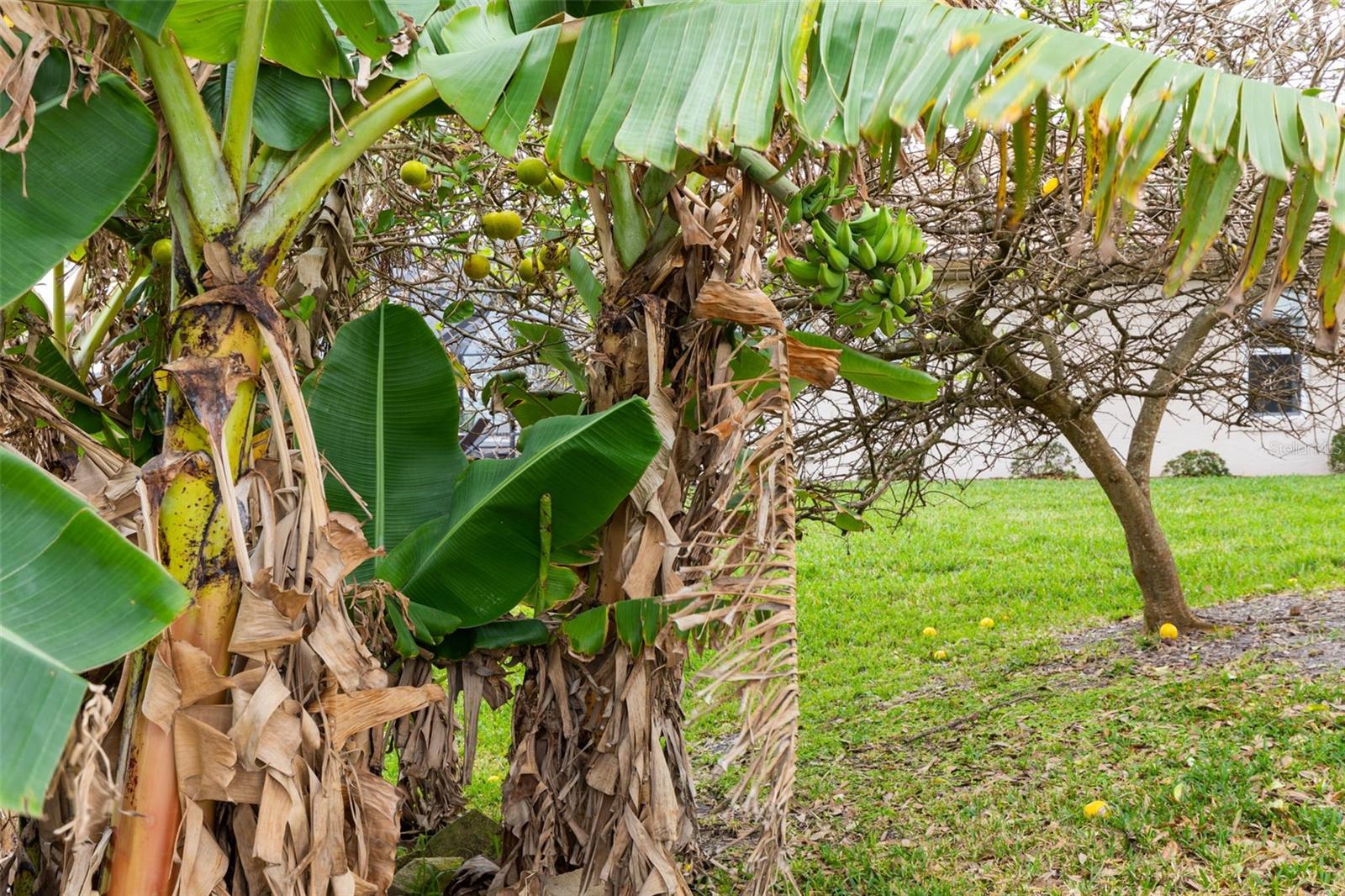 34 CLERMONT CT, PALM COAST, FL, 32137