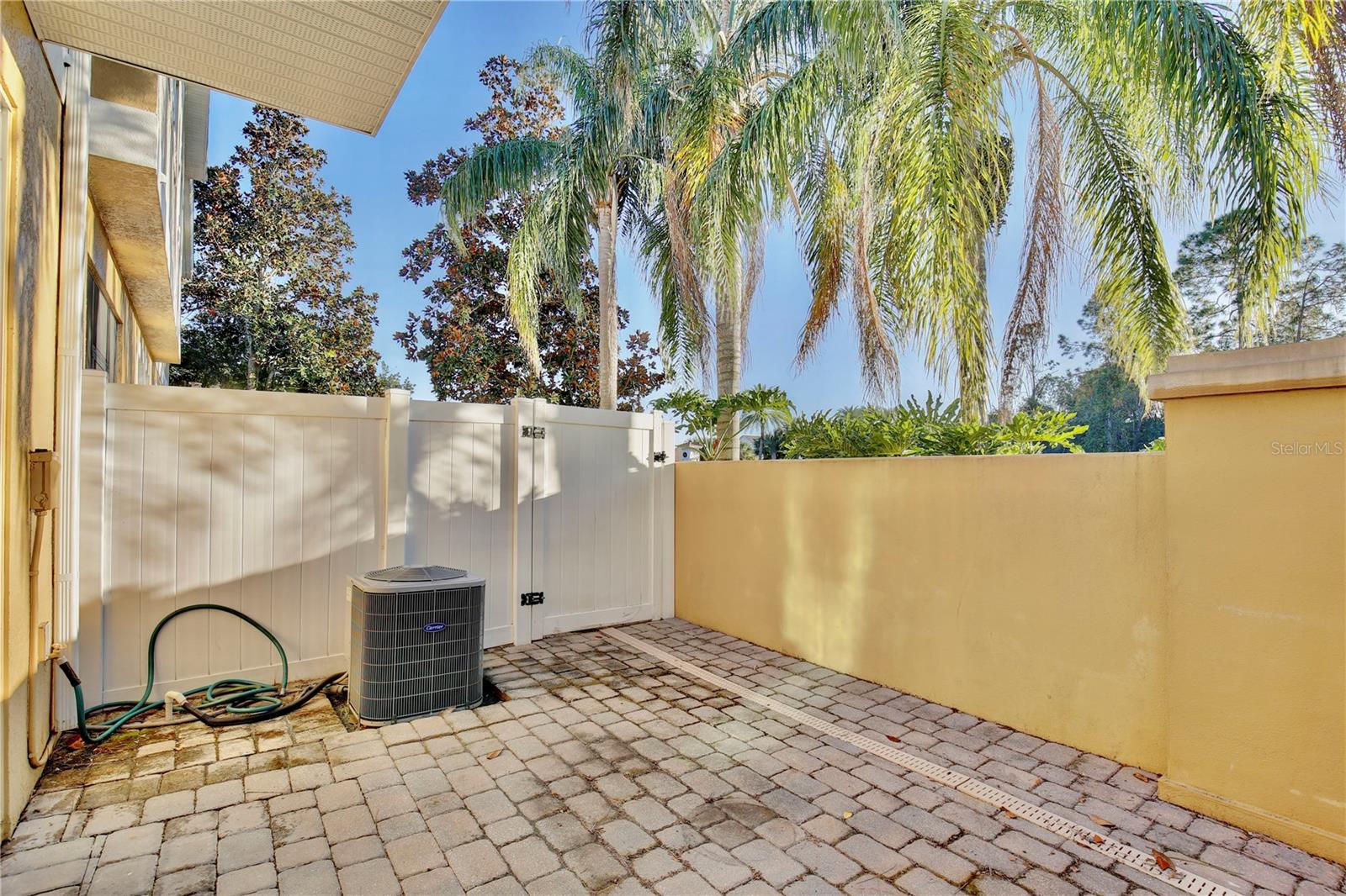 14210 DESERT HAVEN ST #3603, WINDERMERE, FL, 34786