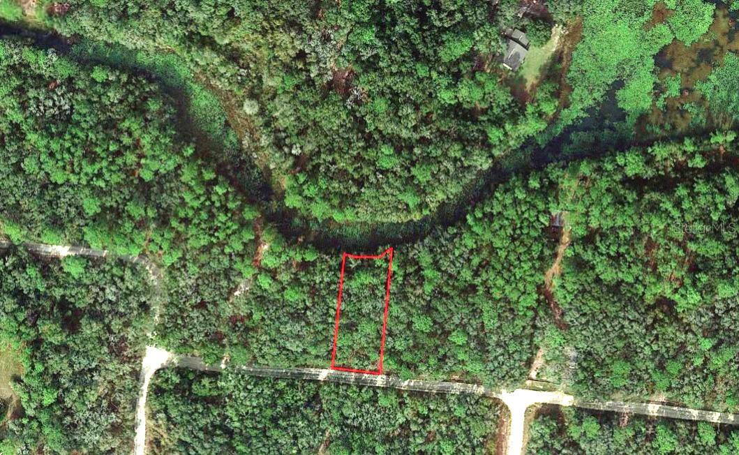 34338 BERRYHILL DR, WEBSTER, FL, 33597