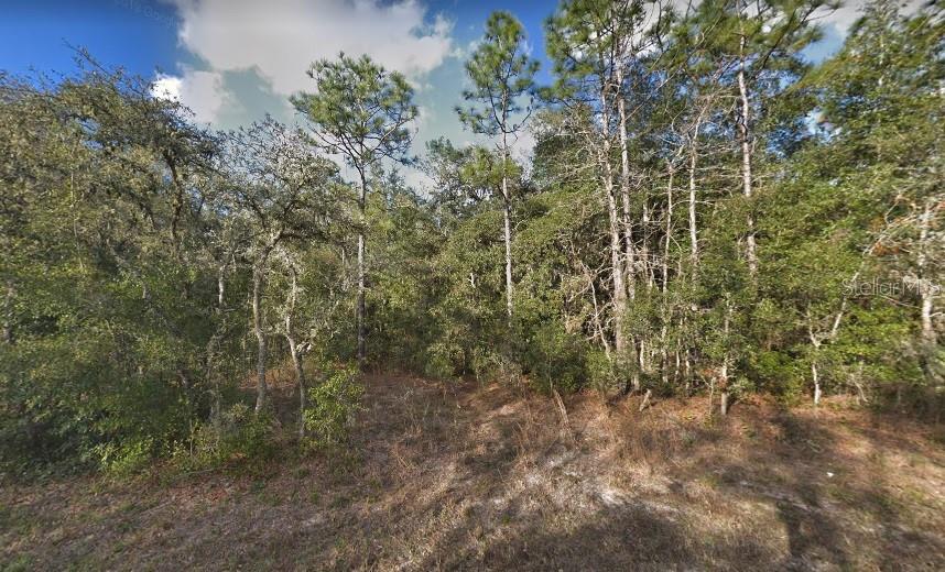 34338 BERRYHILL DR, WEBSTER, FL, 33597
