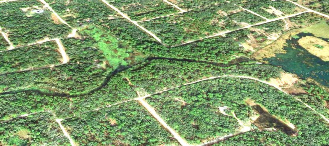 34338 BERRYHILL DR, WEBSTER, FL, 33597