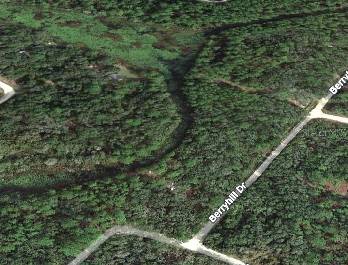 34338 BERRYHILL DR, WEBSTER, FL, 33597