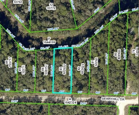 34338 BERRYHILL DR, WEBSTER, FL, 33597