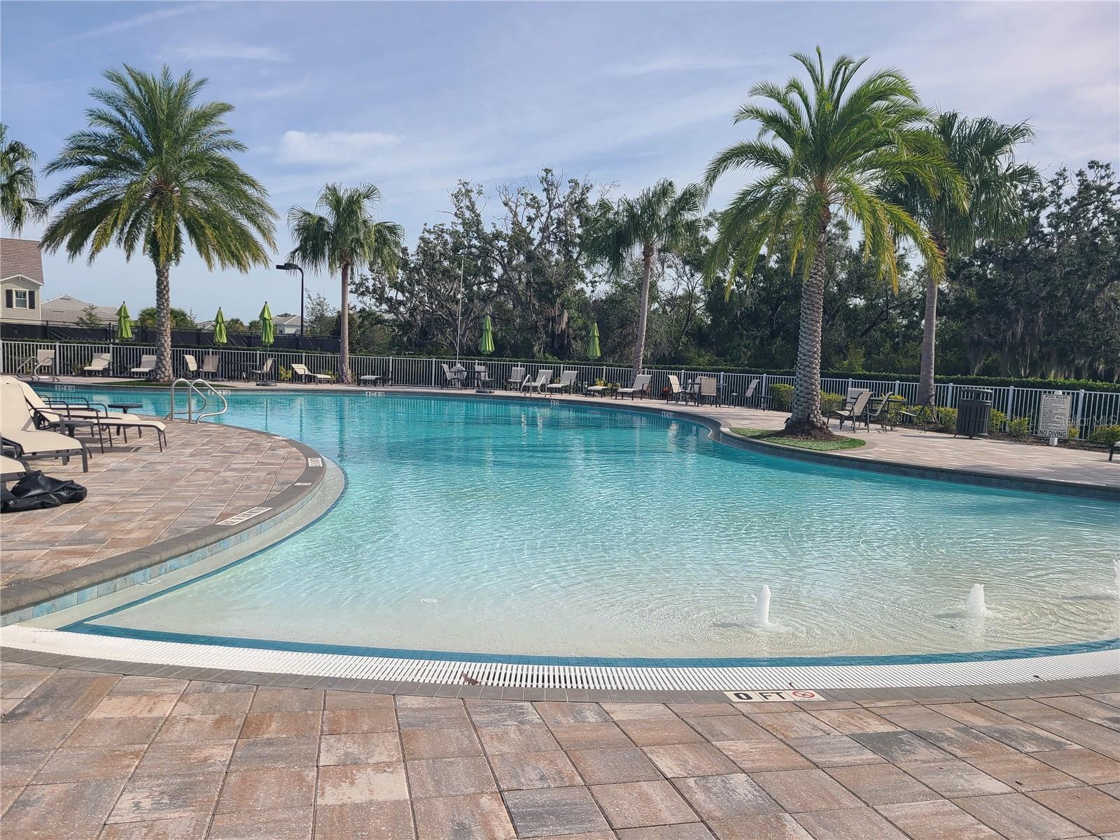 3335 CHESTERTOWN LOOP, LAKEWOOD RANCH, FL, 34211