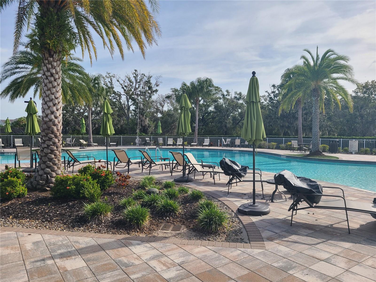 3335 CHESTERTOWN LOOP, LAKEWOOD RANCH, FL, 34211