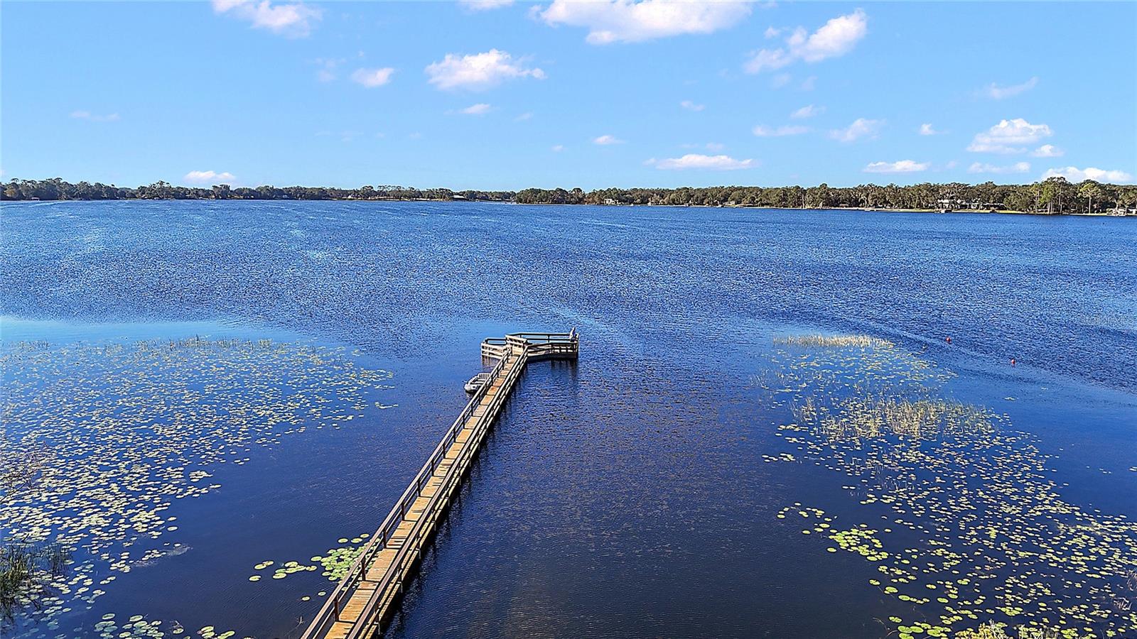 34239 WOODRIDGE LN, EUSTIS, FL, 32736