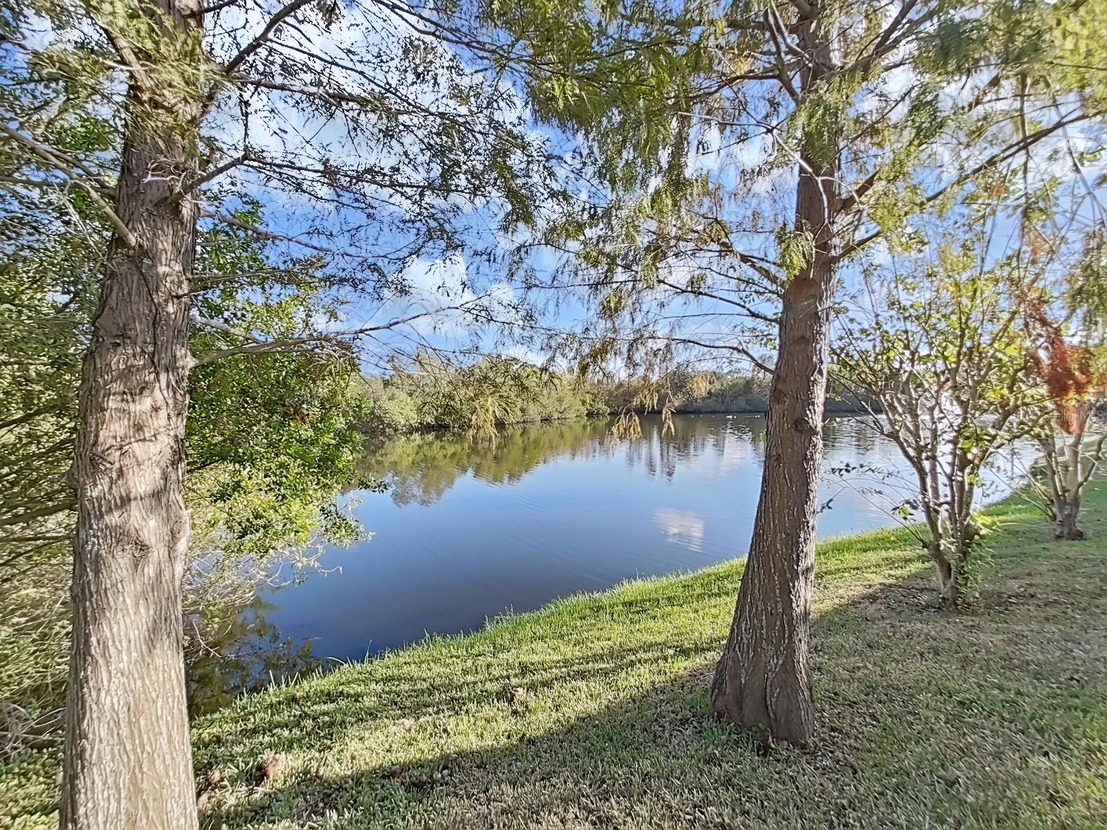 10 RESERVE BLVD, CLEARWATER, FL, 33764