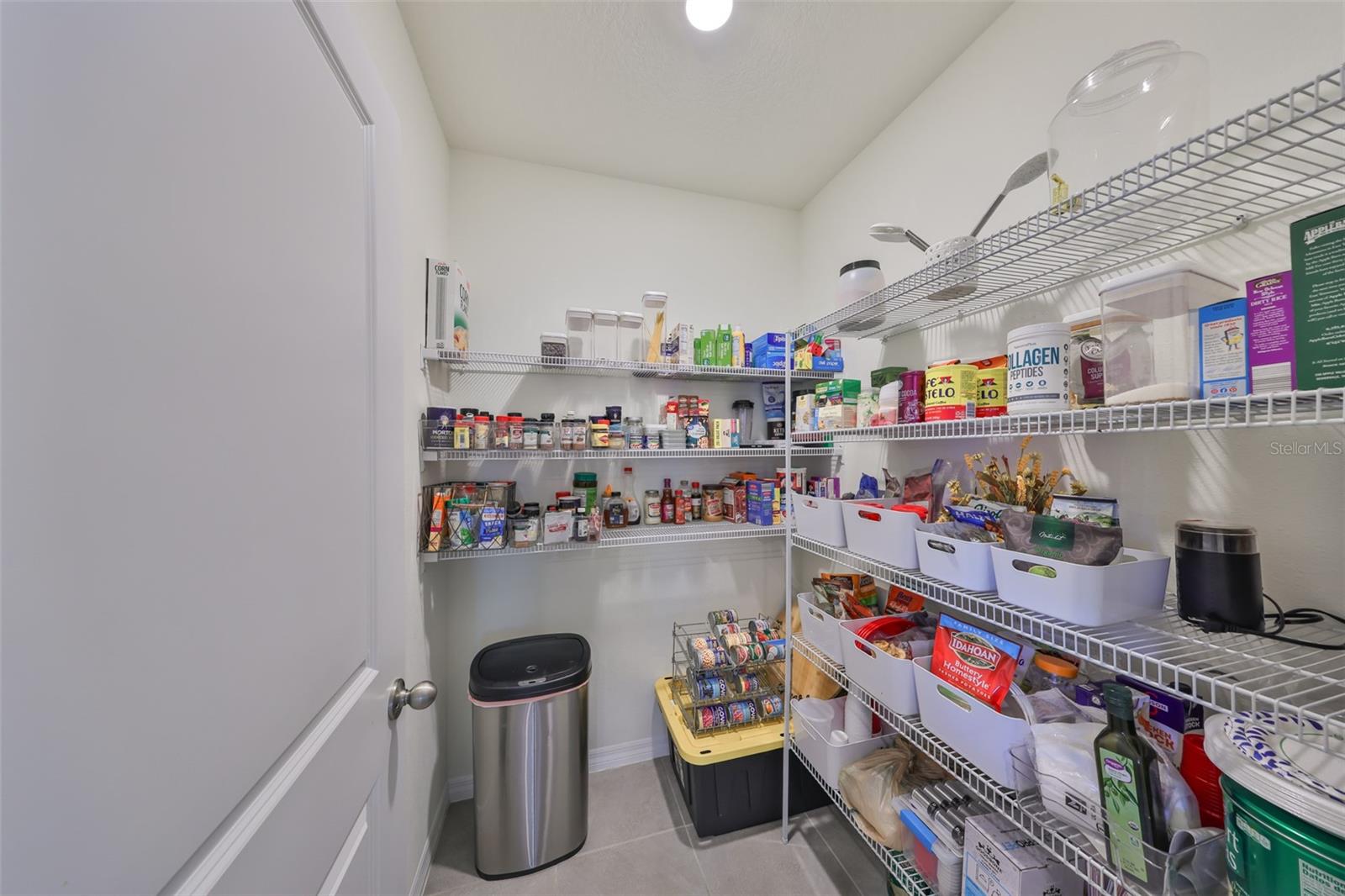 16910 TRITE BEND ST, WIMAUMA, FL, 33598